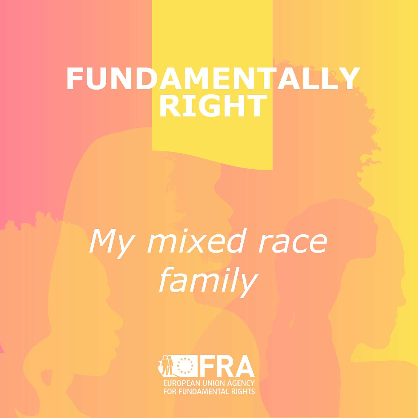 My mixed race family