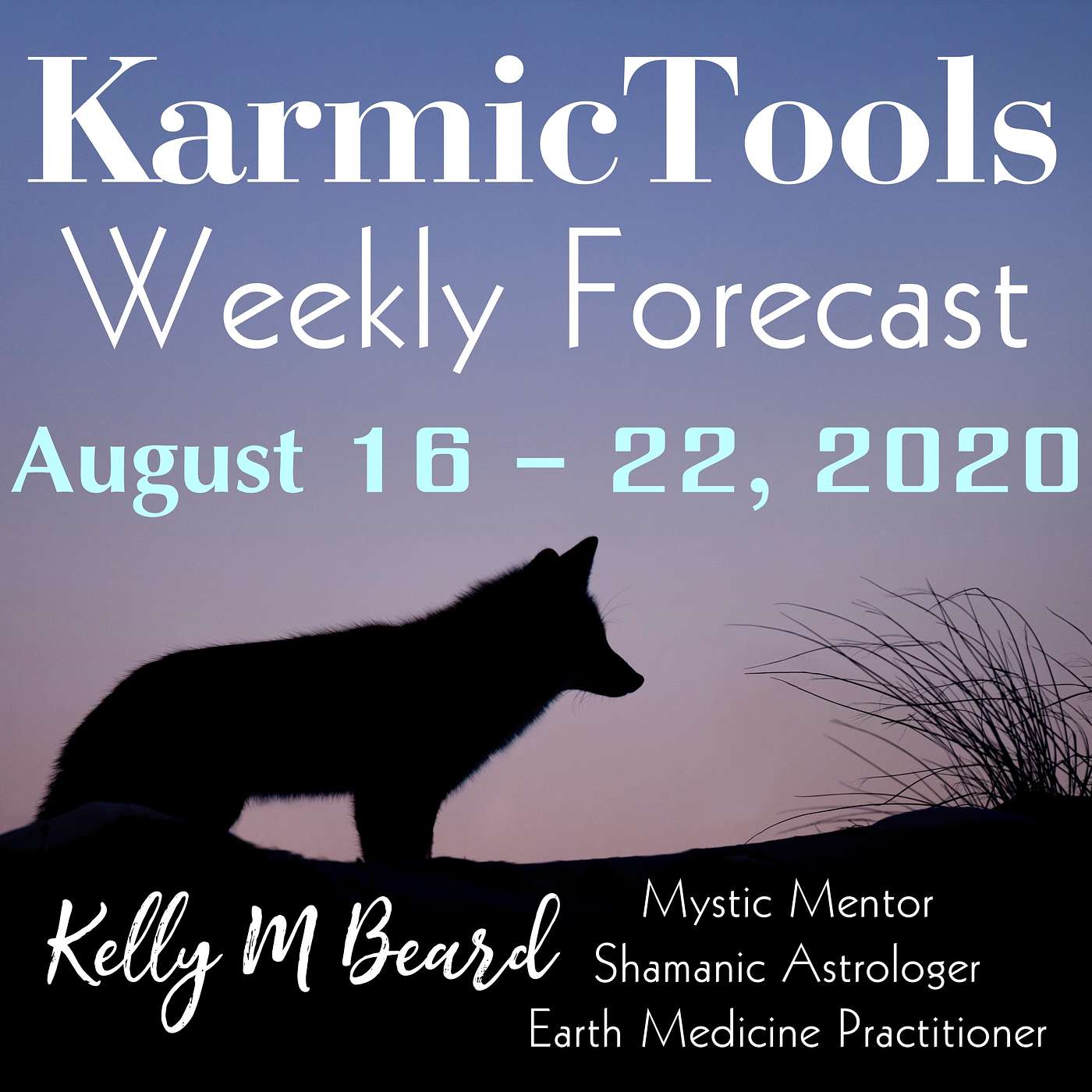 Aug 16 - 22, 2020 KarmicTools Weekly Forecast