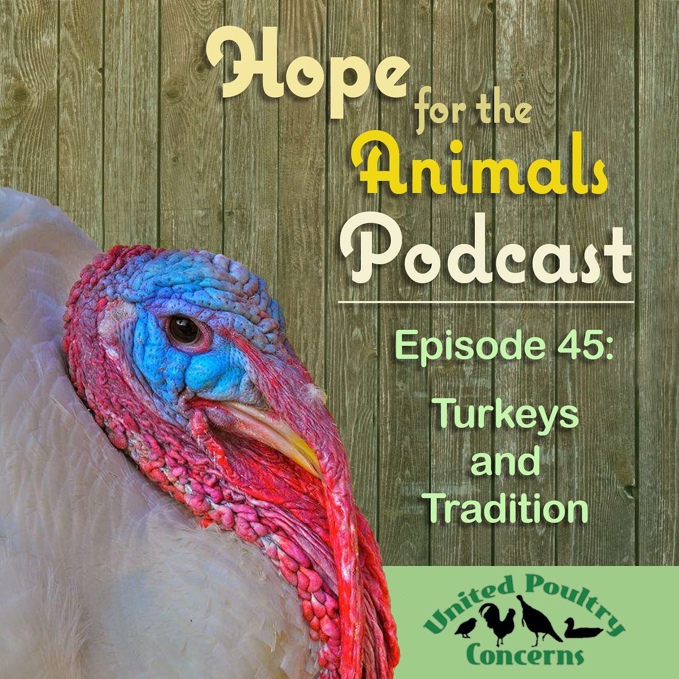 Hope for the Animals