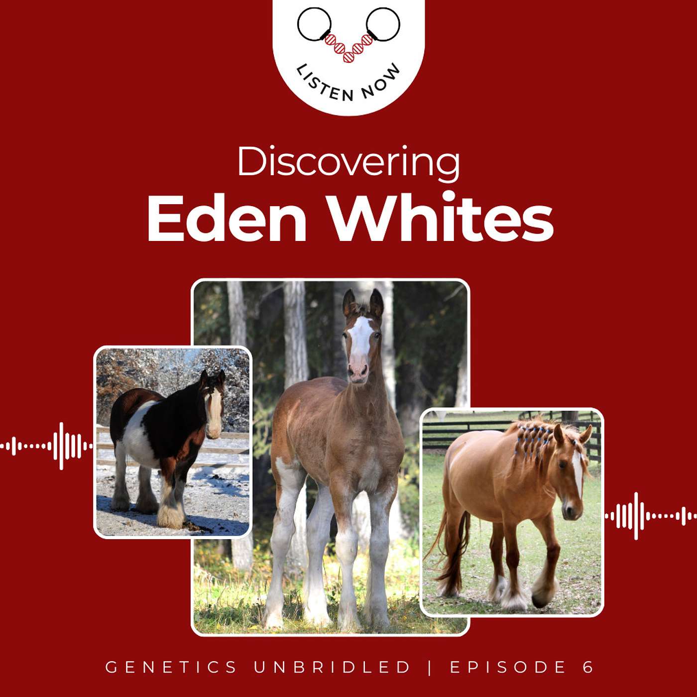 Genetics Unbridled - Horse DNA & Technology Powered by Etalon Equine Genetics
