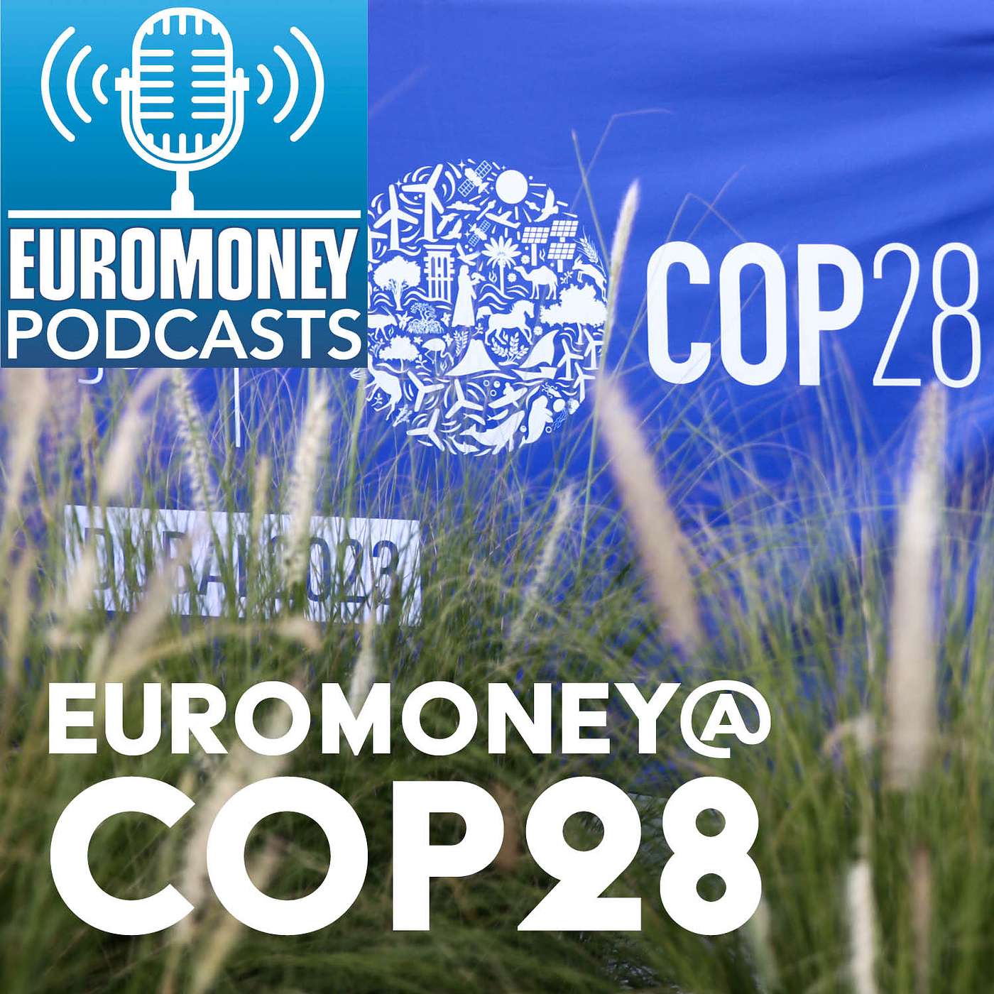 ESG Conversations – Episode 10: Euromoney at COP28