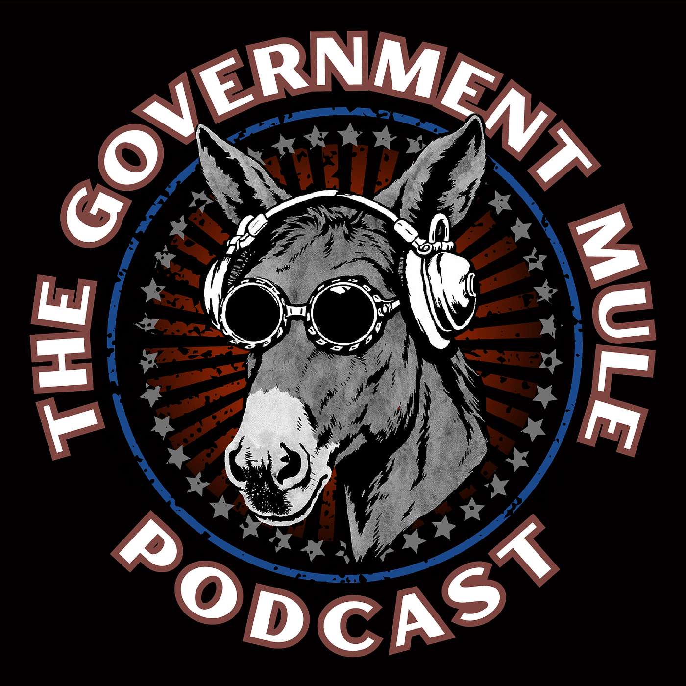 The Government Mule Episode 4 - Stan Sallee & Michael Willis episode artwork