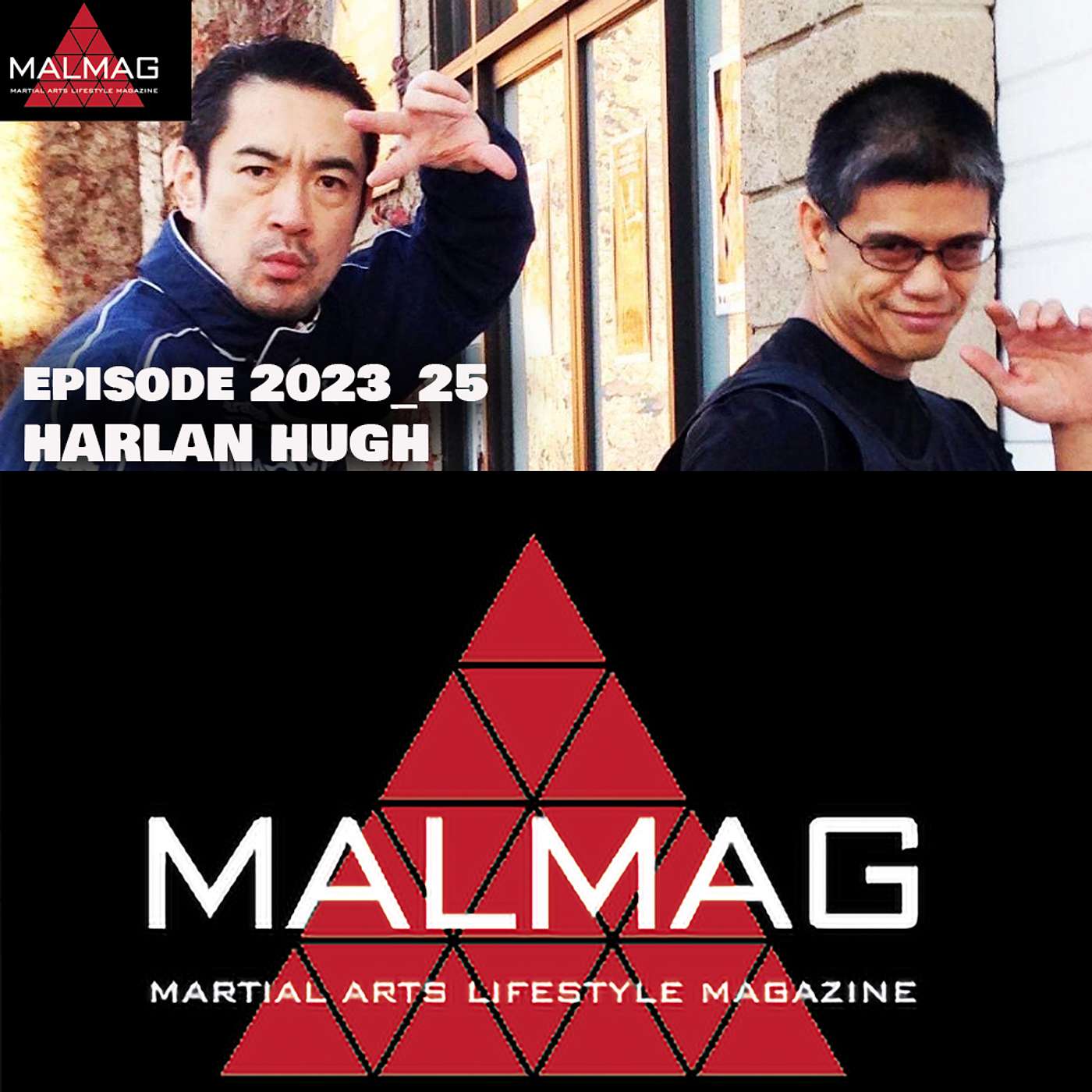 The Martial Arts Lifestyle Podcast