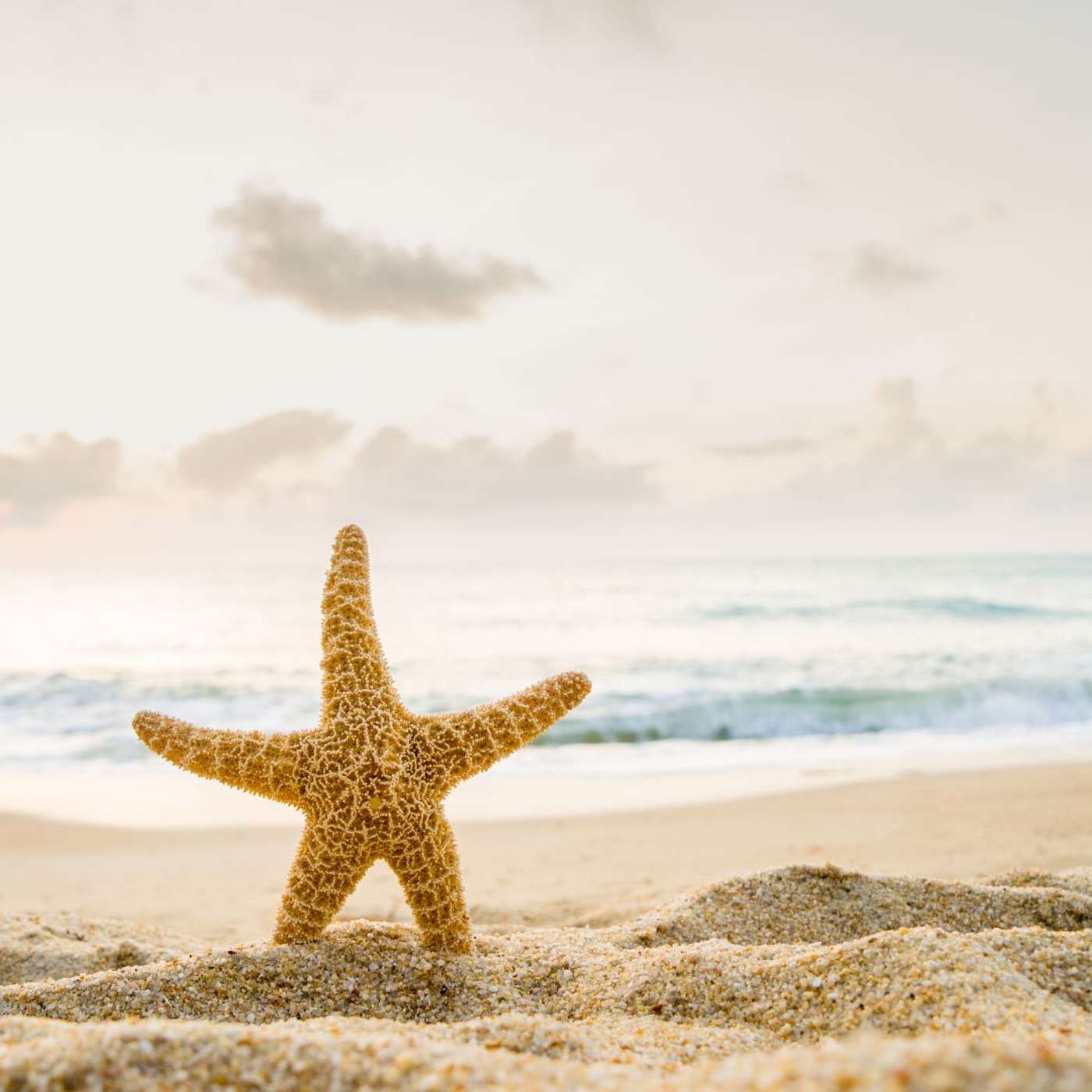 Top 20 Things To Do In Punta Cana episode artwork