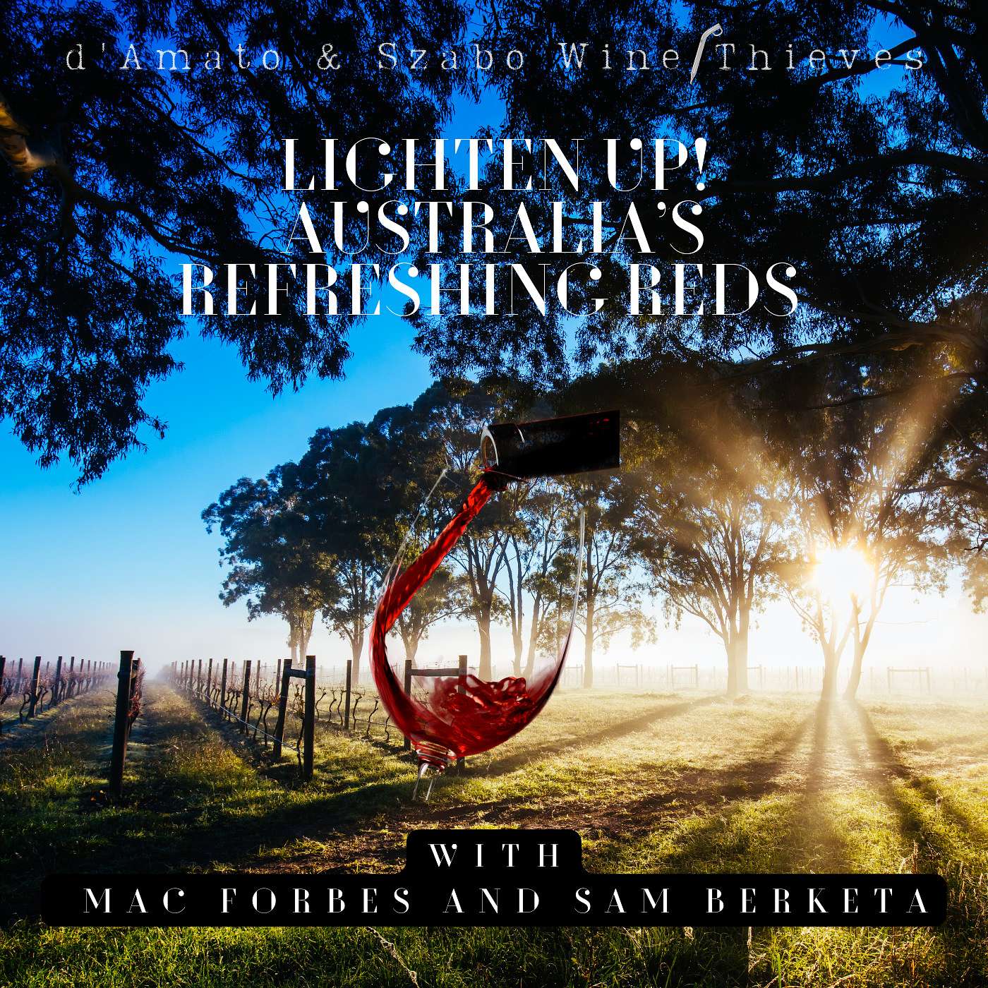 D’Amato & Szabo: Wine Thieves