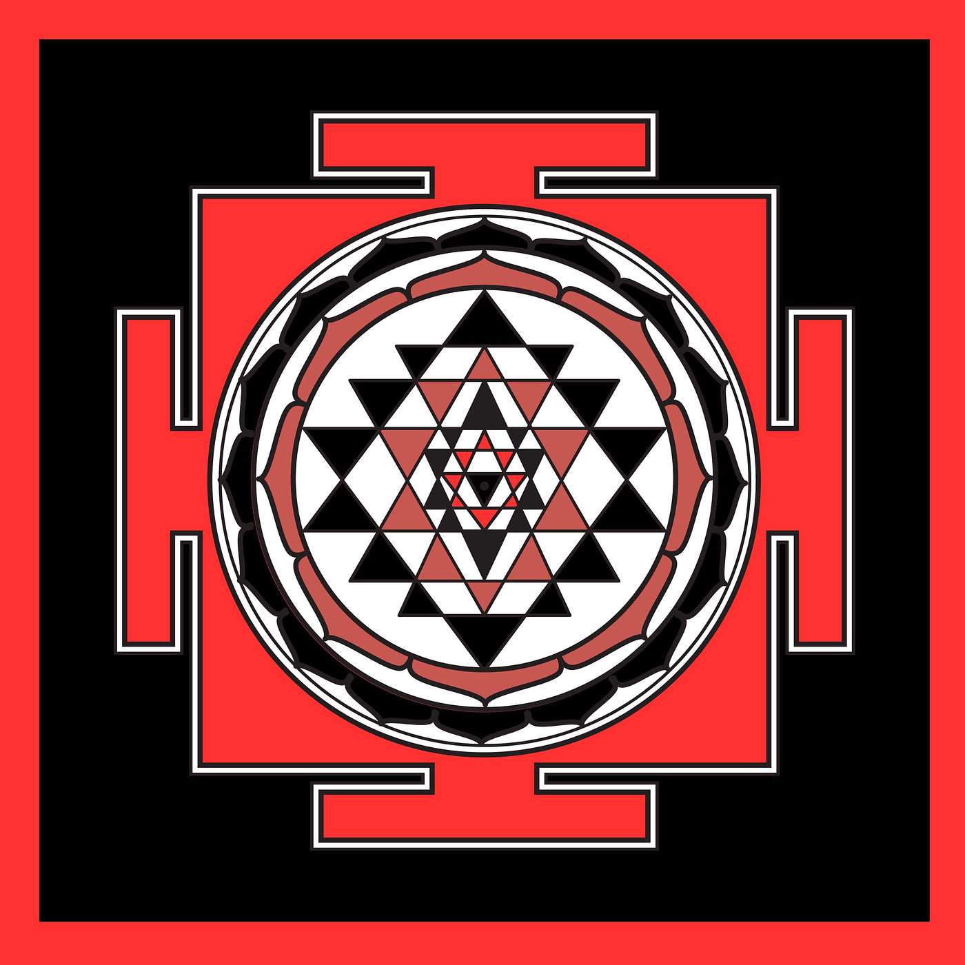 For the Love of Yoga with Nish the Fish