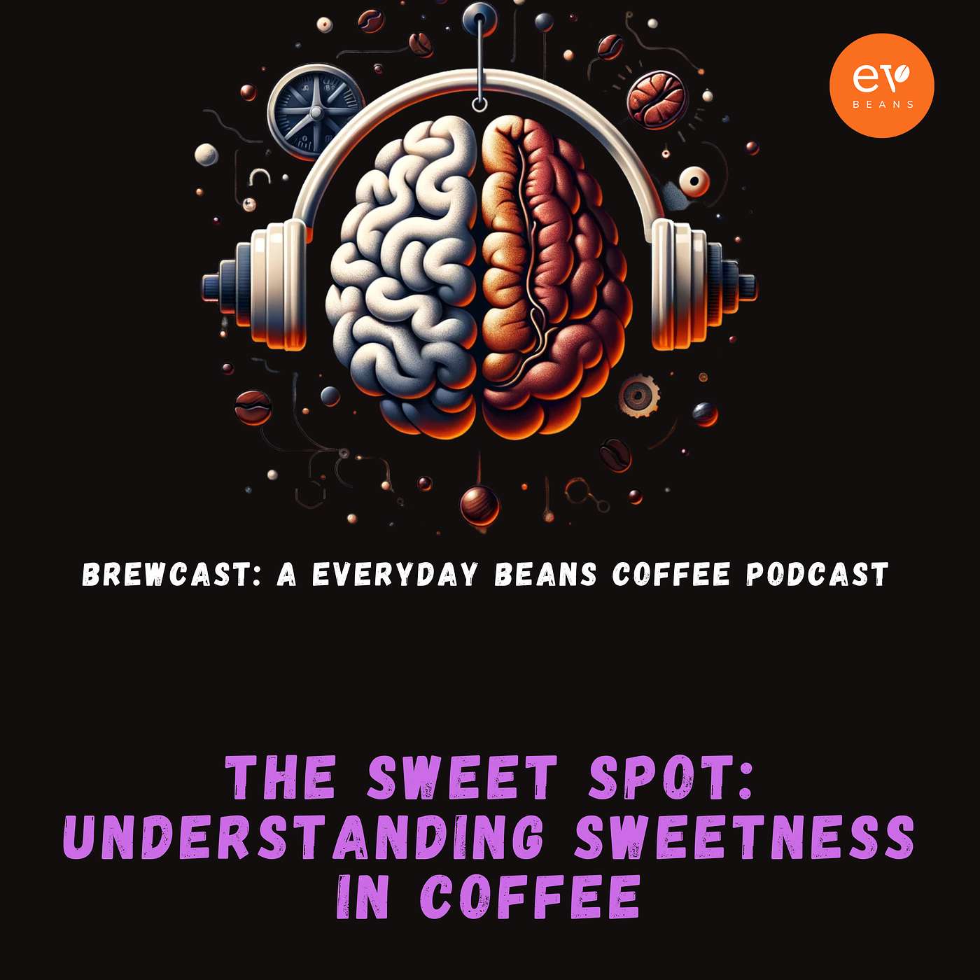 Tasting Sweetness: A Coffee Brewer's Perspective