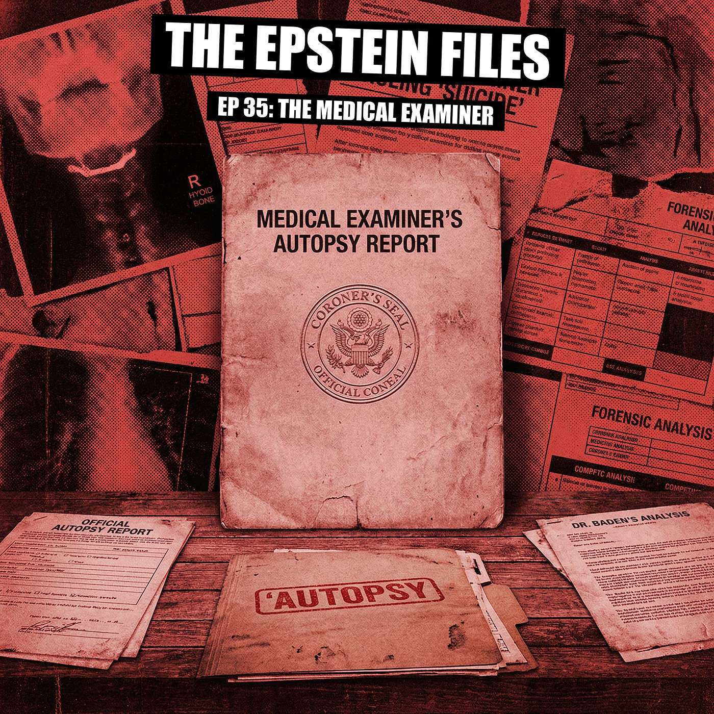 File 35 - The Broken Bone That Questions Epstein's Suicide Ruling