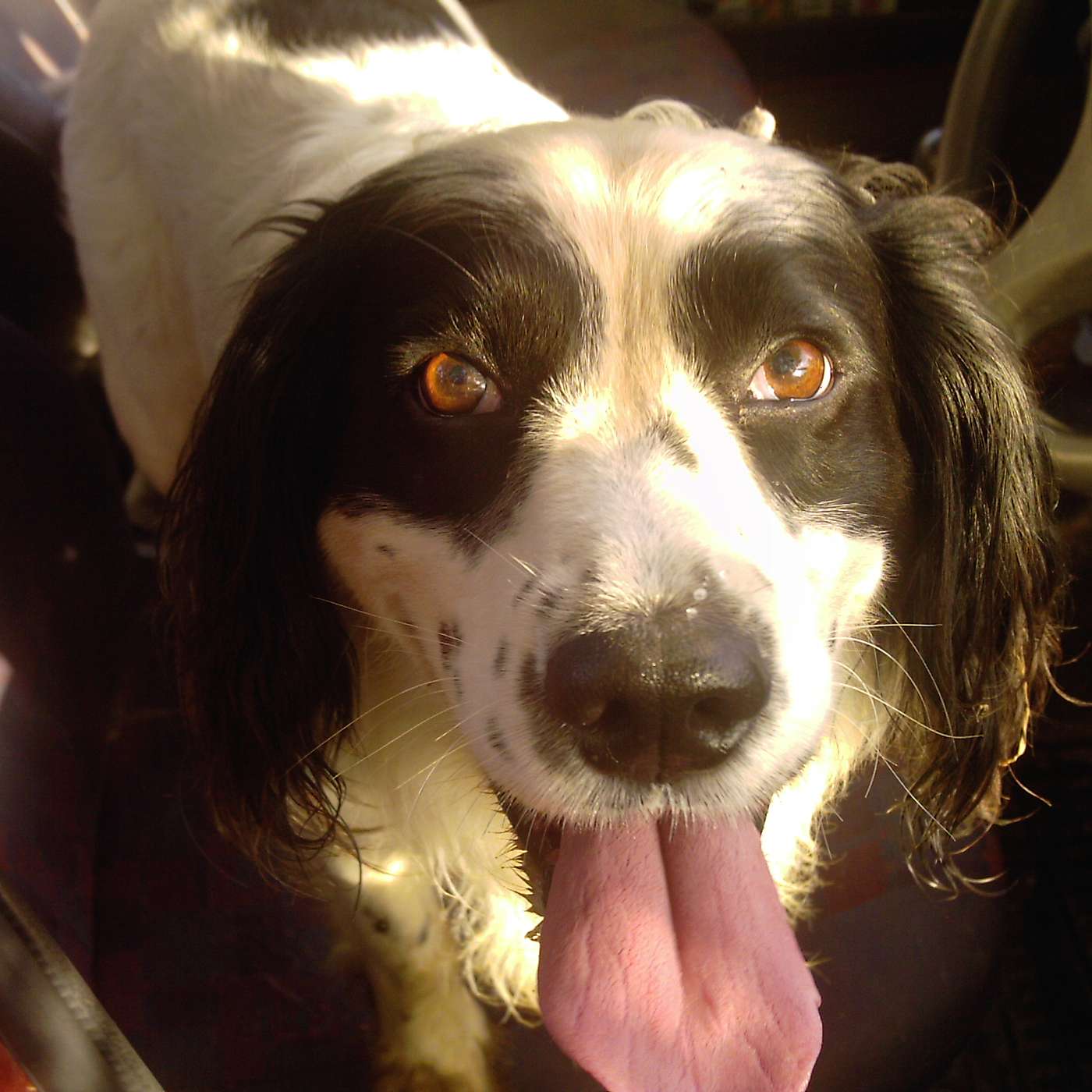 James Barcley - Podding Along! cover art