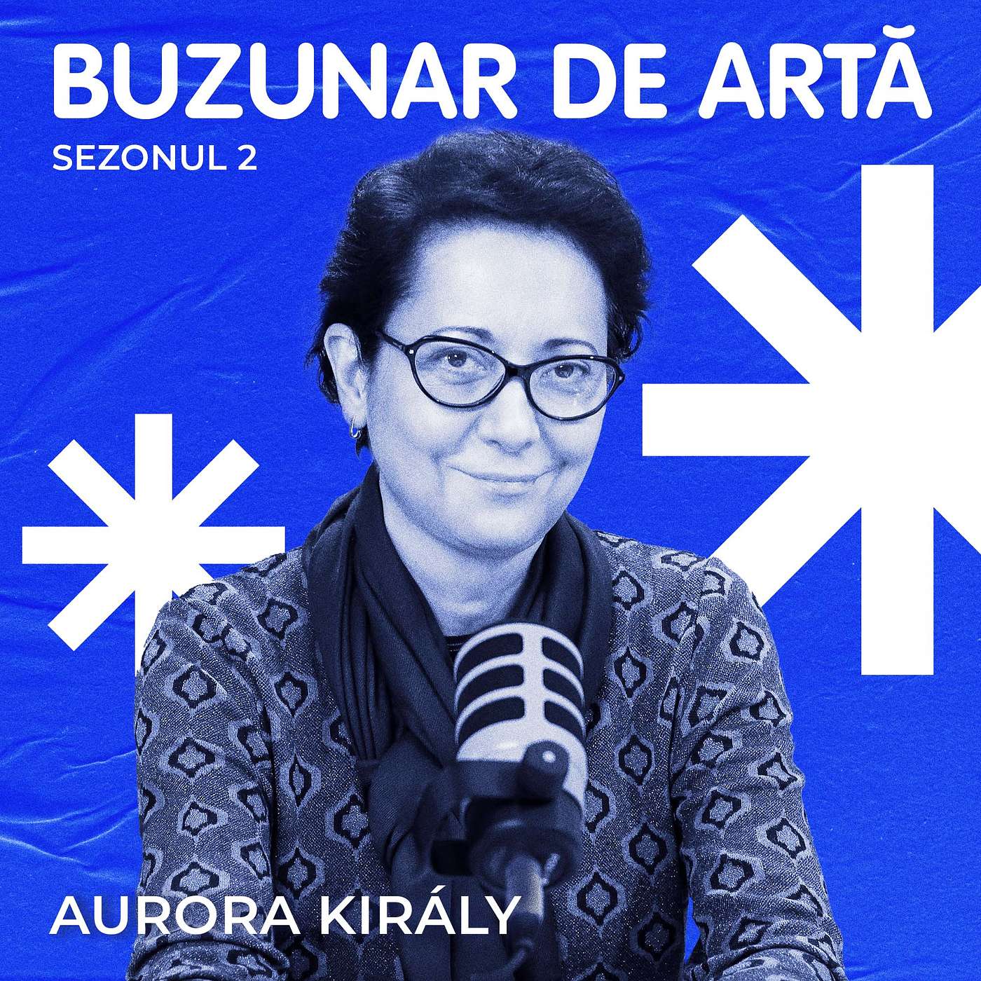Podcast Buzunar de Artă
