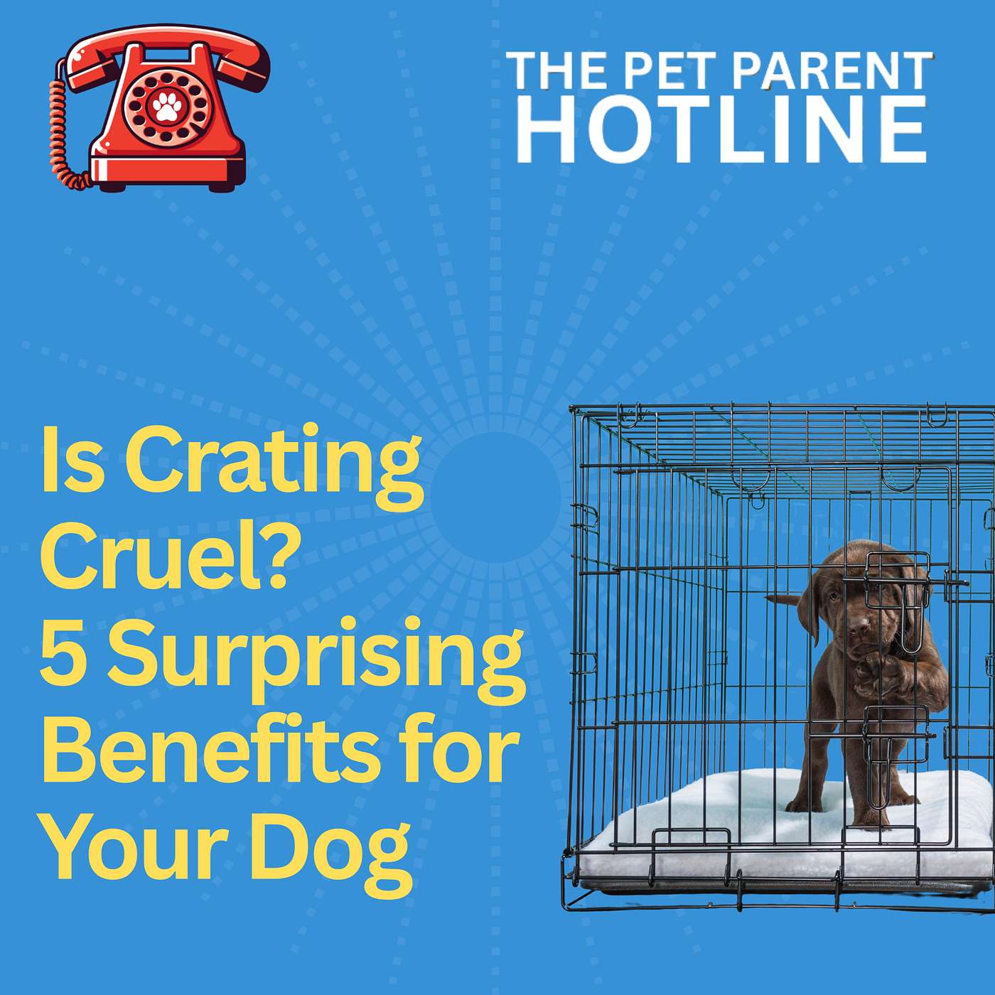 Is Crating Cruel? 5 Surprising Benefits for Your Dog