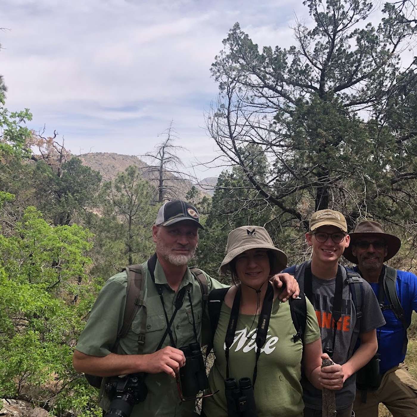 S1 E4: Virginia Falls for a Grace's Warbler! Birding west Texas with Virginia Meredith. episode artwork