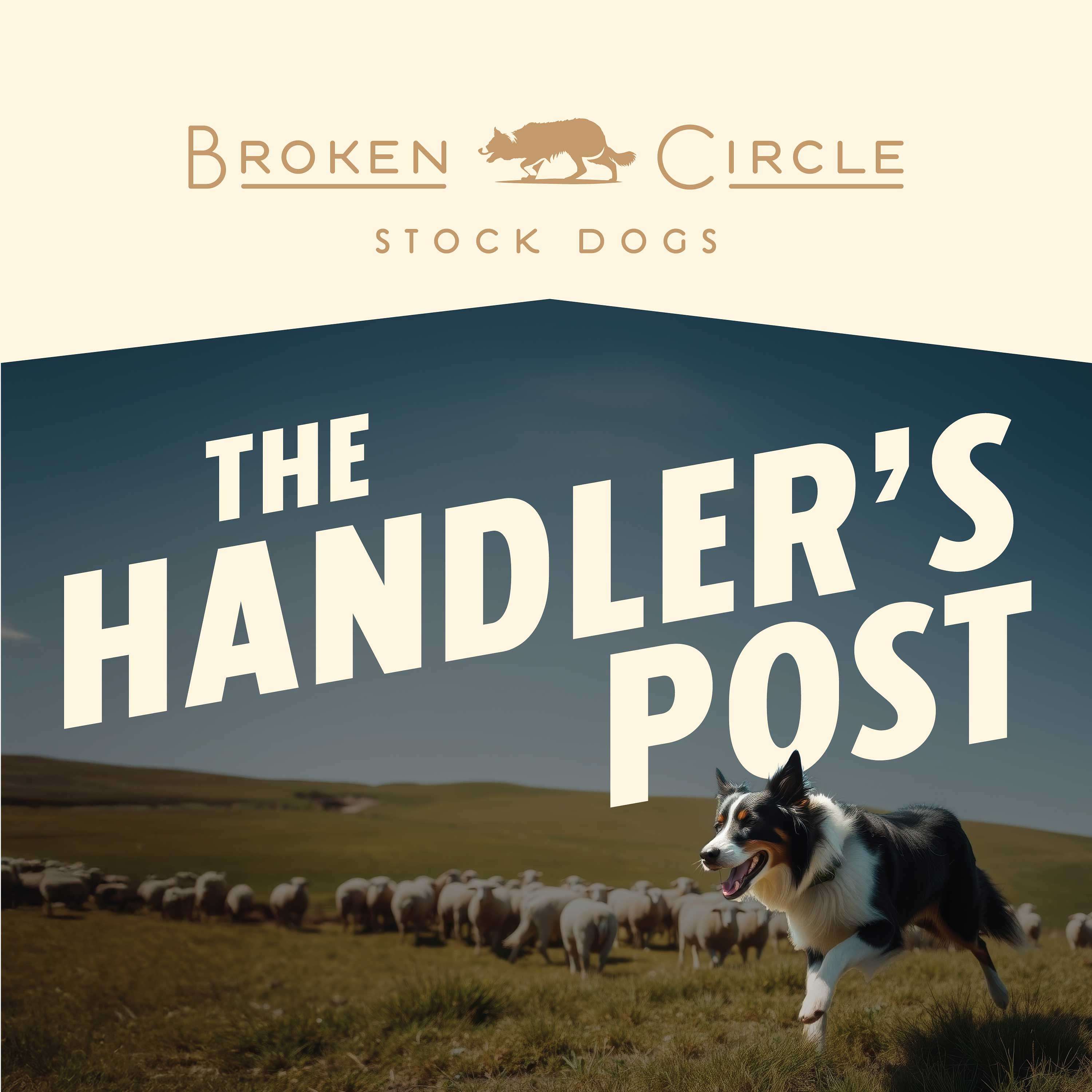 The Handler's Post