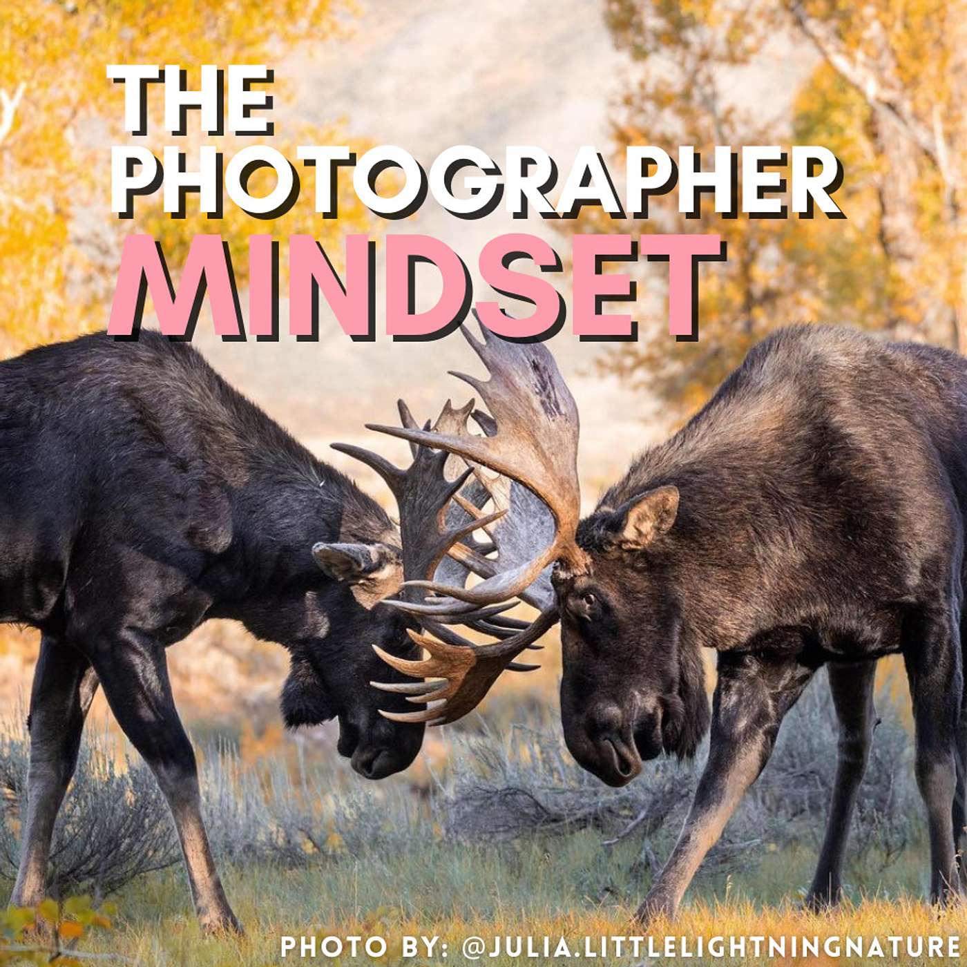 The Photographer Mindset