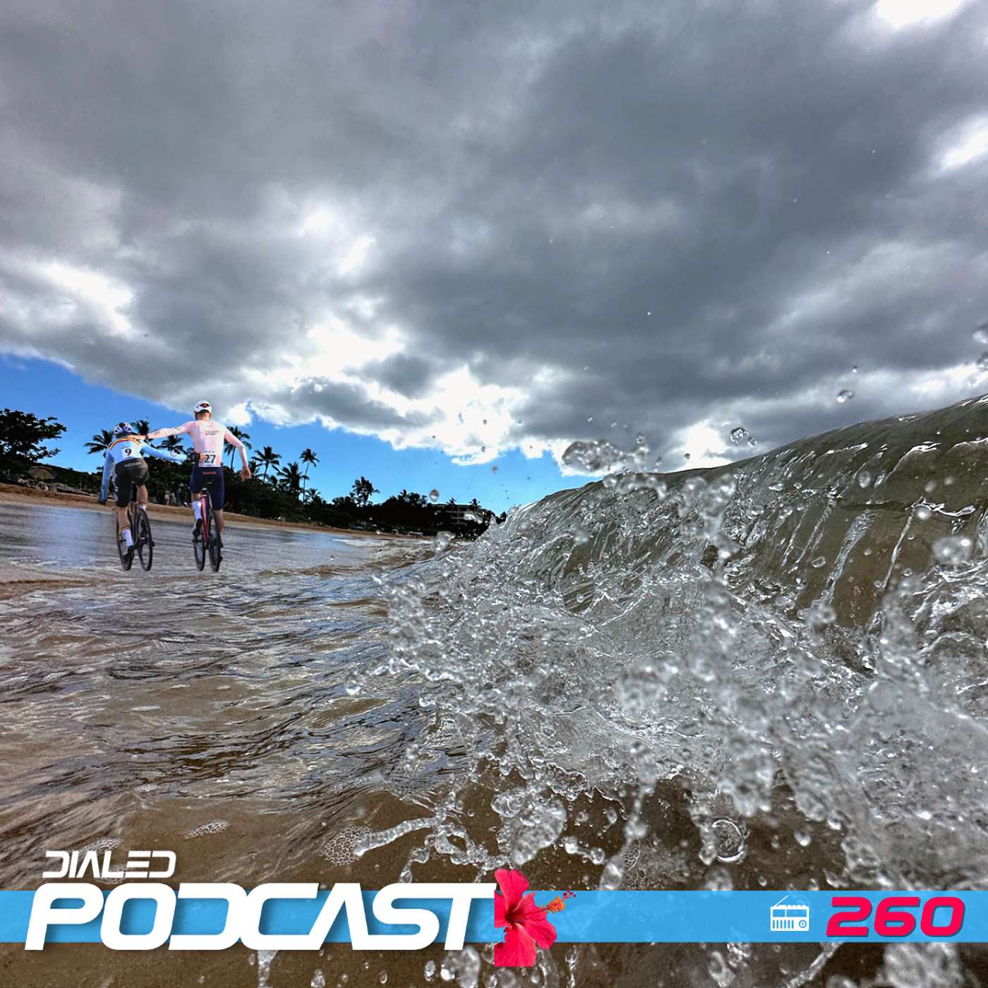 Dialed Podcast 260 - The state of the cycling industry | Are you a target for bike thieves? episode artwork