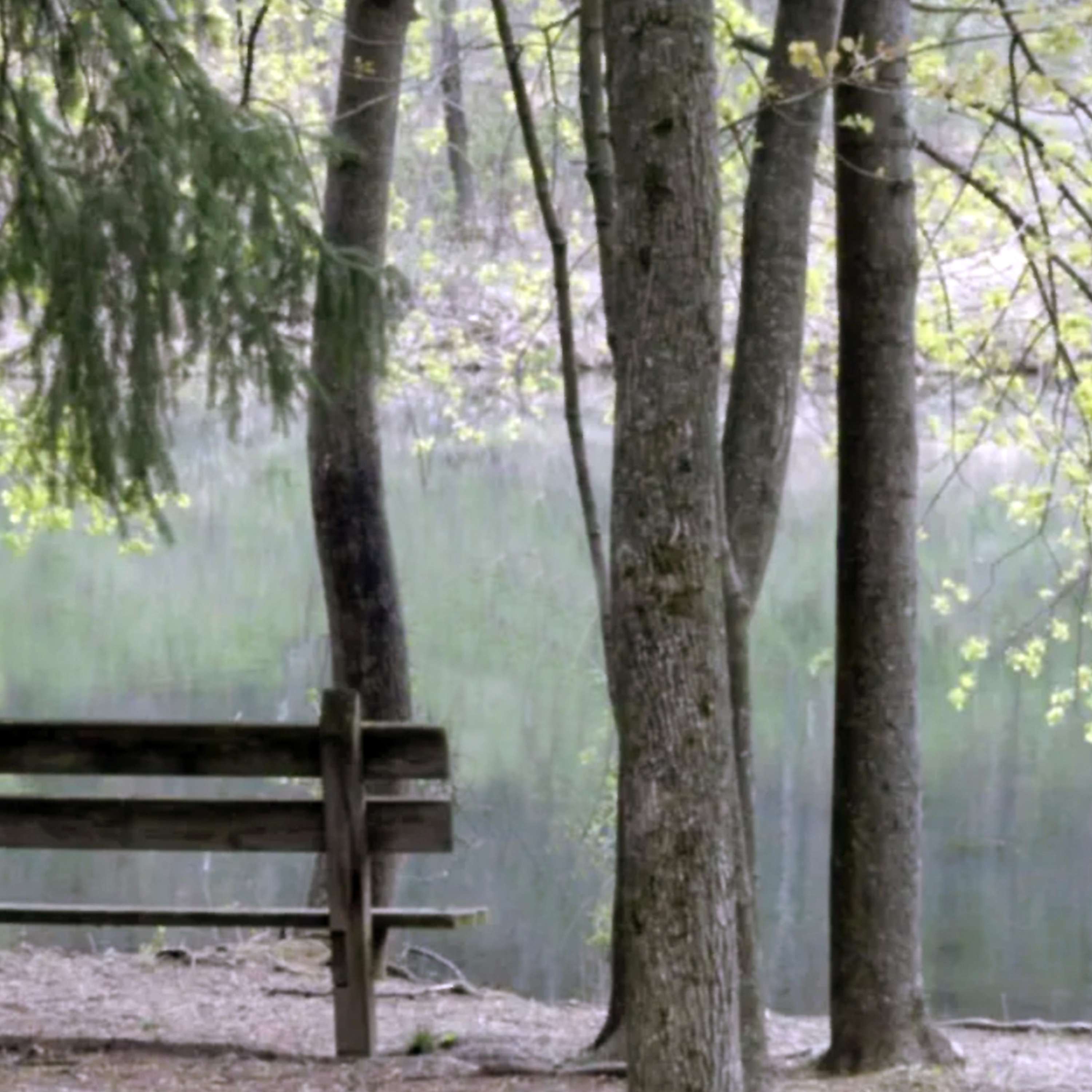 WXED Radio interview with the Artist