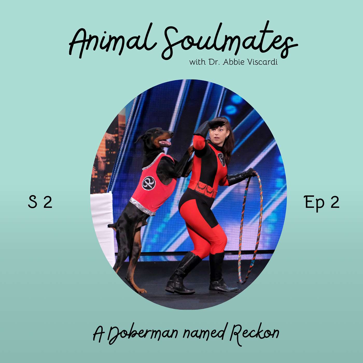 Animal Soulmates