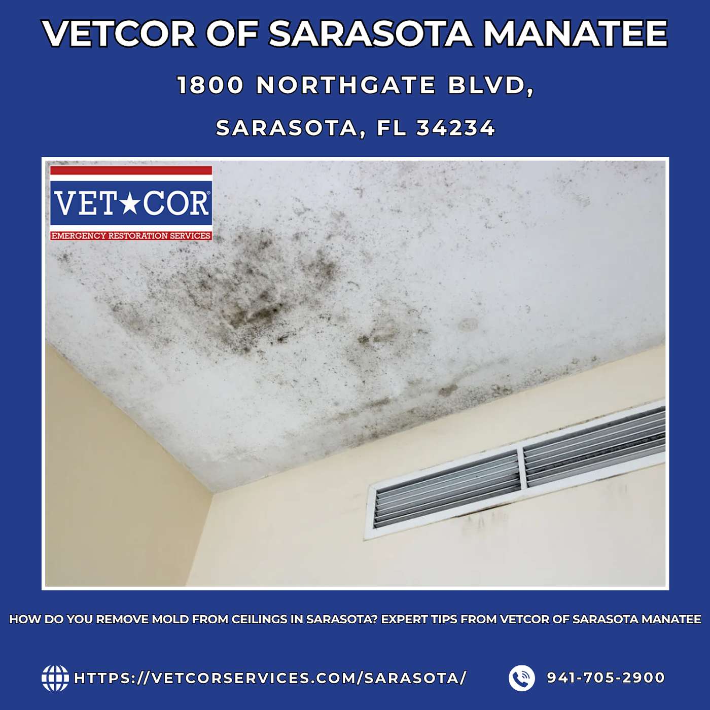 How Do You Remove Mold From Ceilings in Sarasota? Expert Tips From VetCor of Sarasota Manatee episode artwork