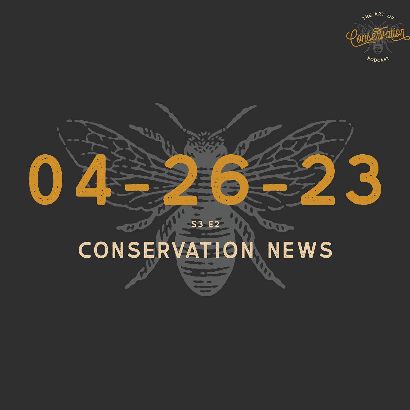 The Art Of Conservation