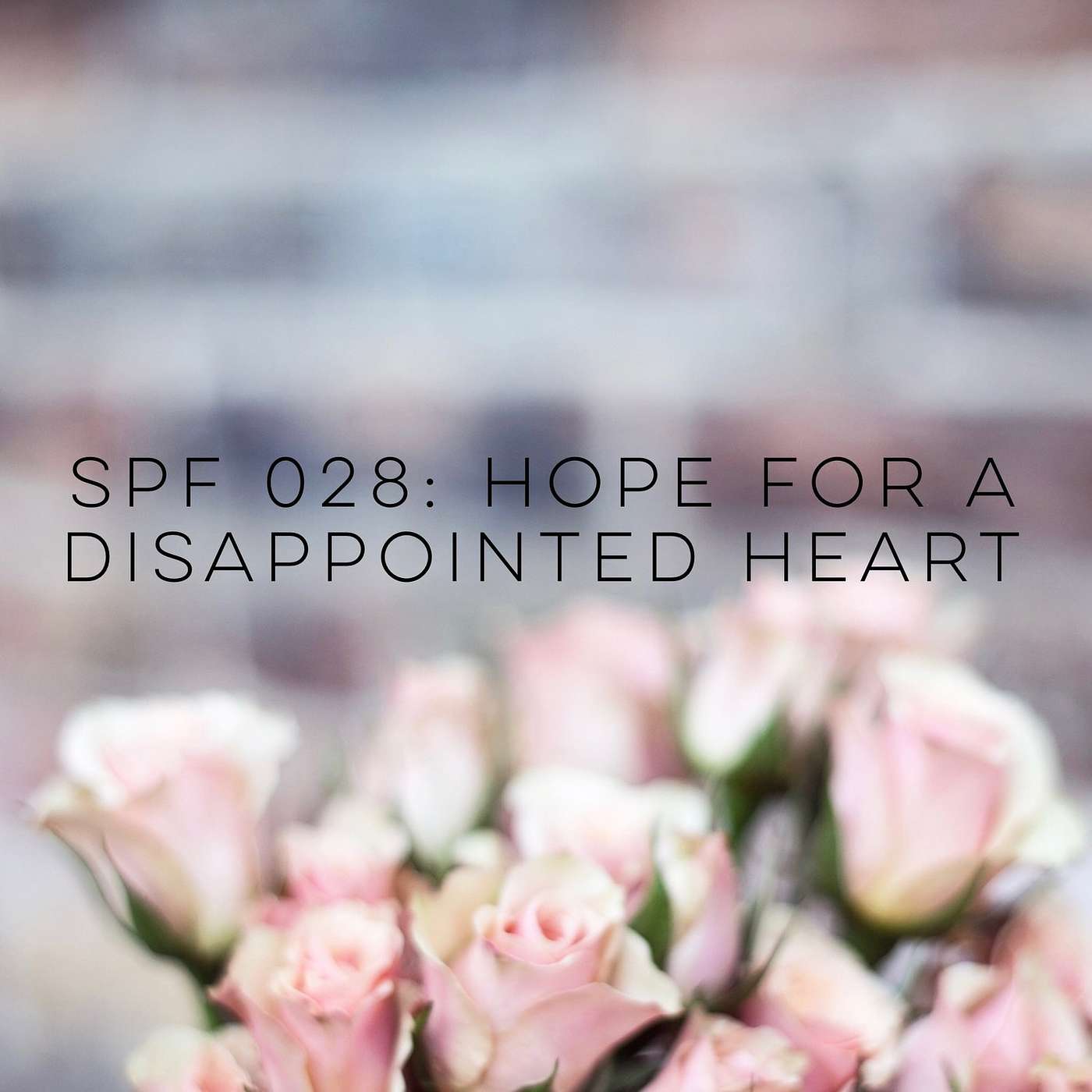 Episode 28: Hope for the Disappointed Heart