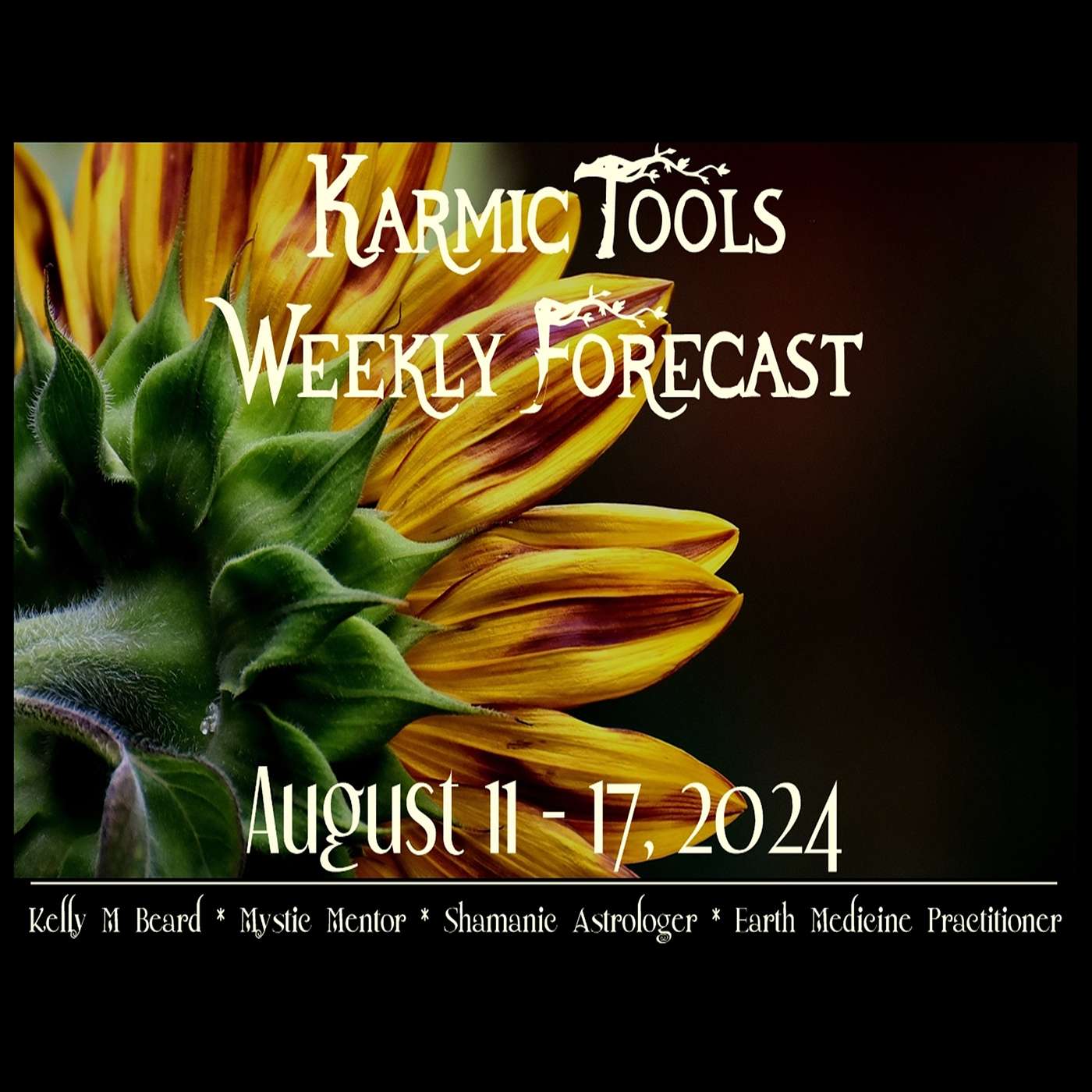 Aug 11 - 17, 2024 :: KarmicTools Weekly Forecast :: Events, Classes + Resources