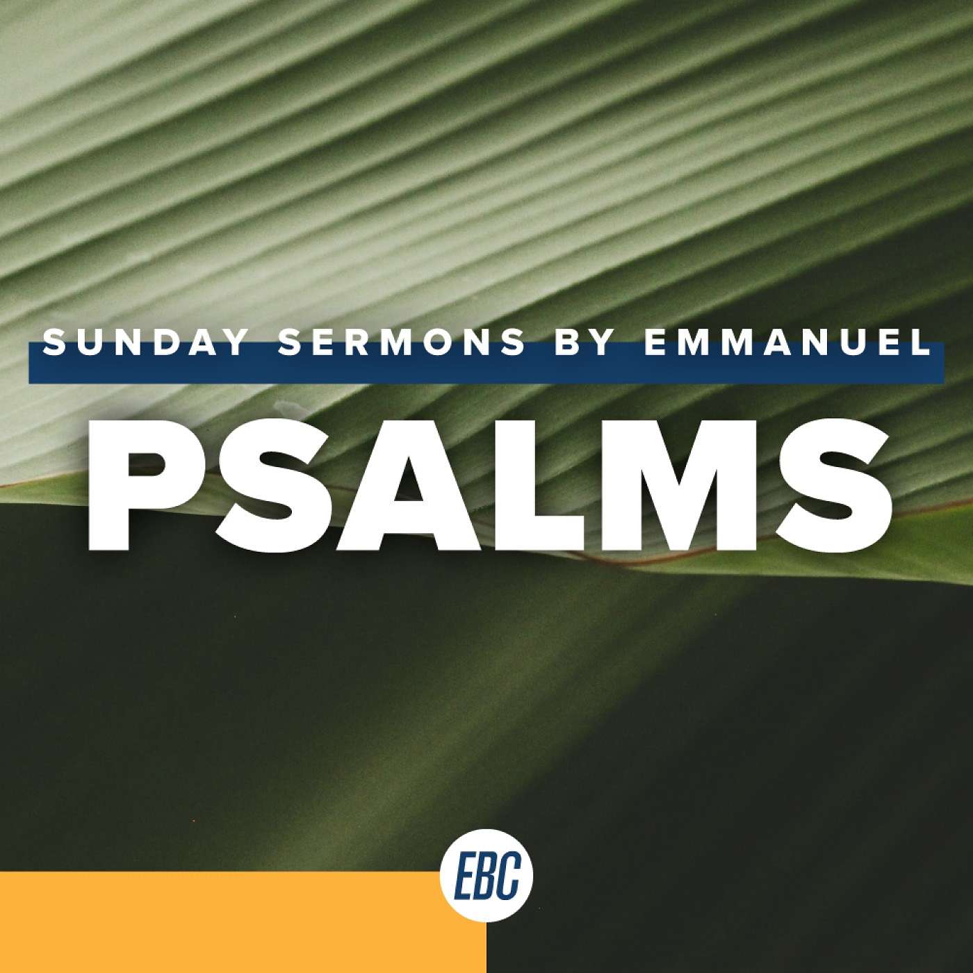 Worship That Comes With a Warning (Psalm 95) with Pastor Andrew Courtis episode artwork