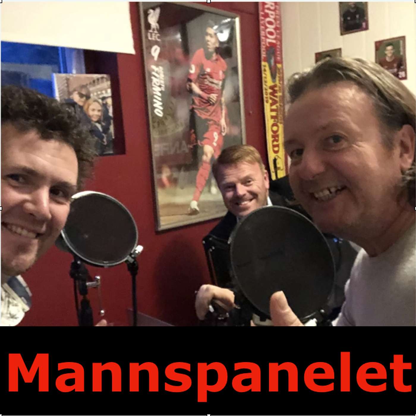 Mannspanelet