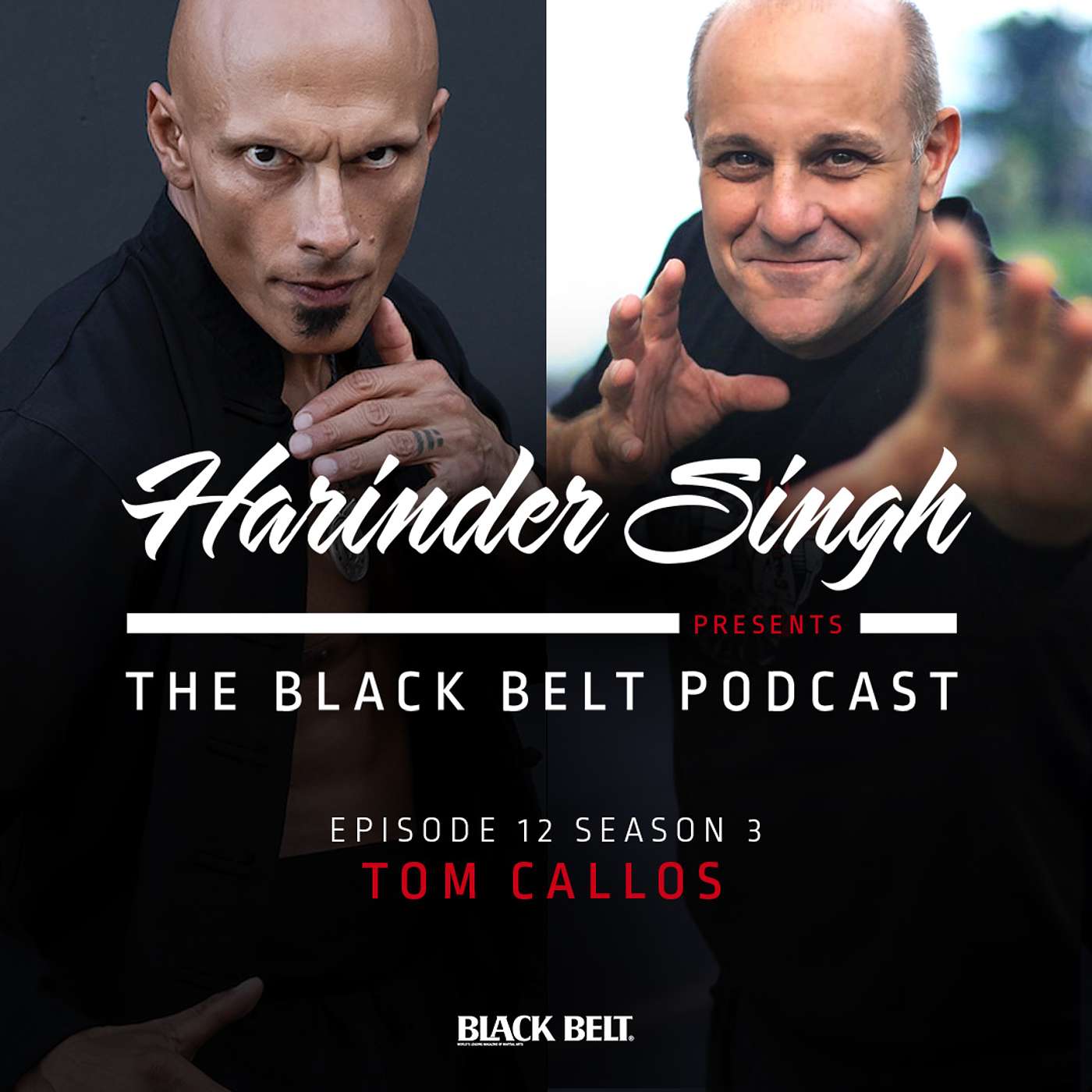 The Black Belt Podcast