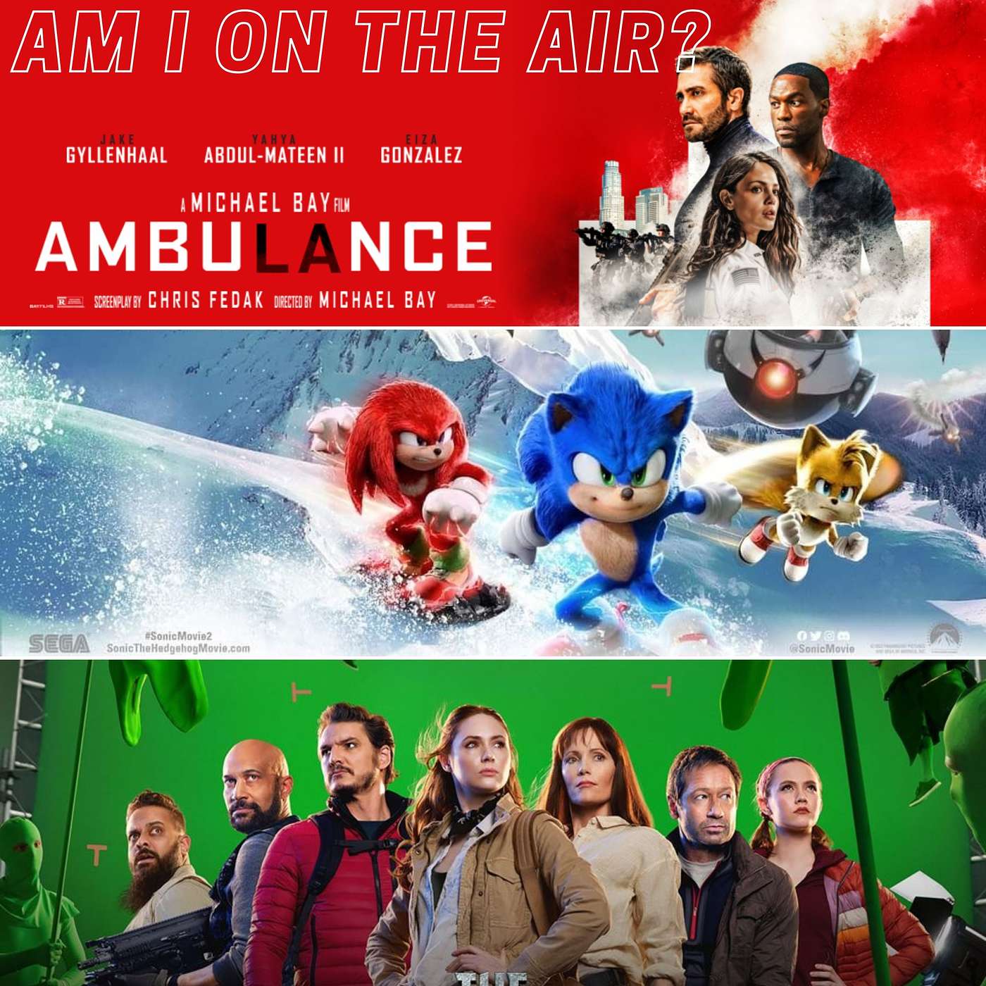 The Hedgehog In The Ambulance