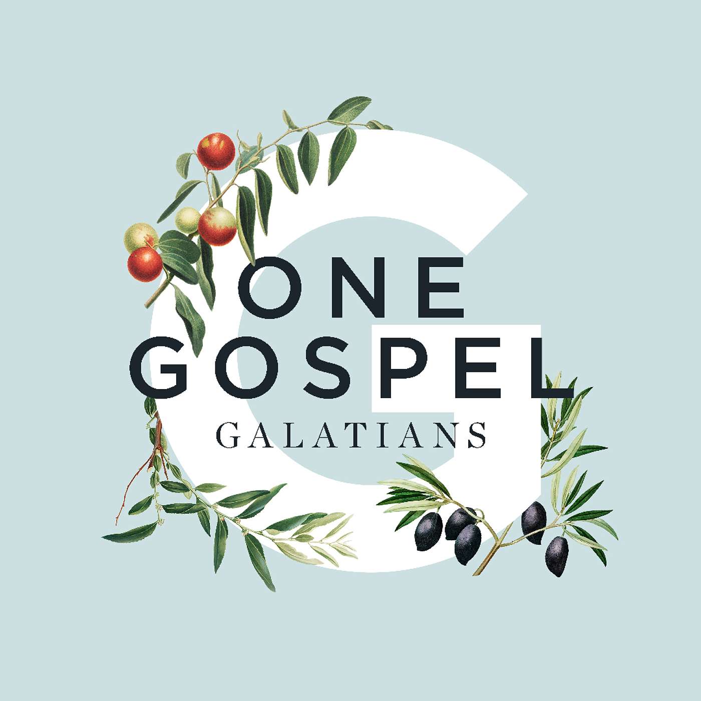 Introducing Galatians