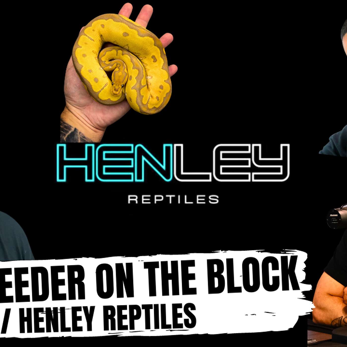 HOW TO AVOID ALL THE NEGATIVE TALK IN THE BALL PYTHON GAME | NEW BREEDER ON THE BLOCK