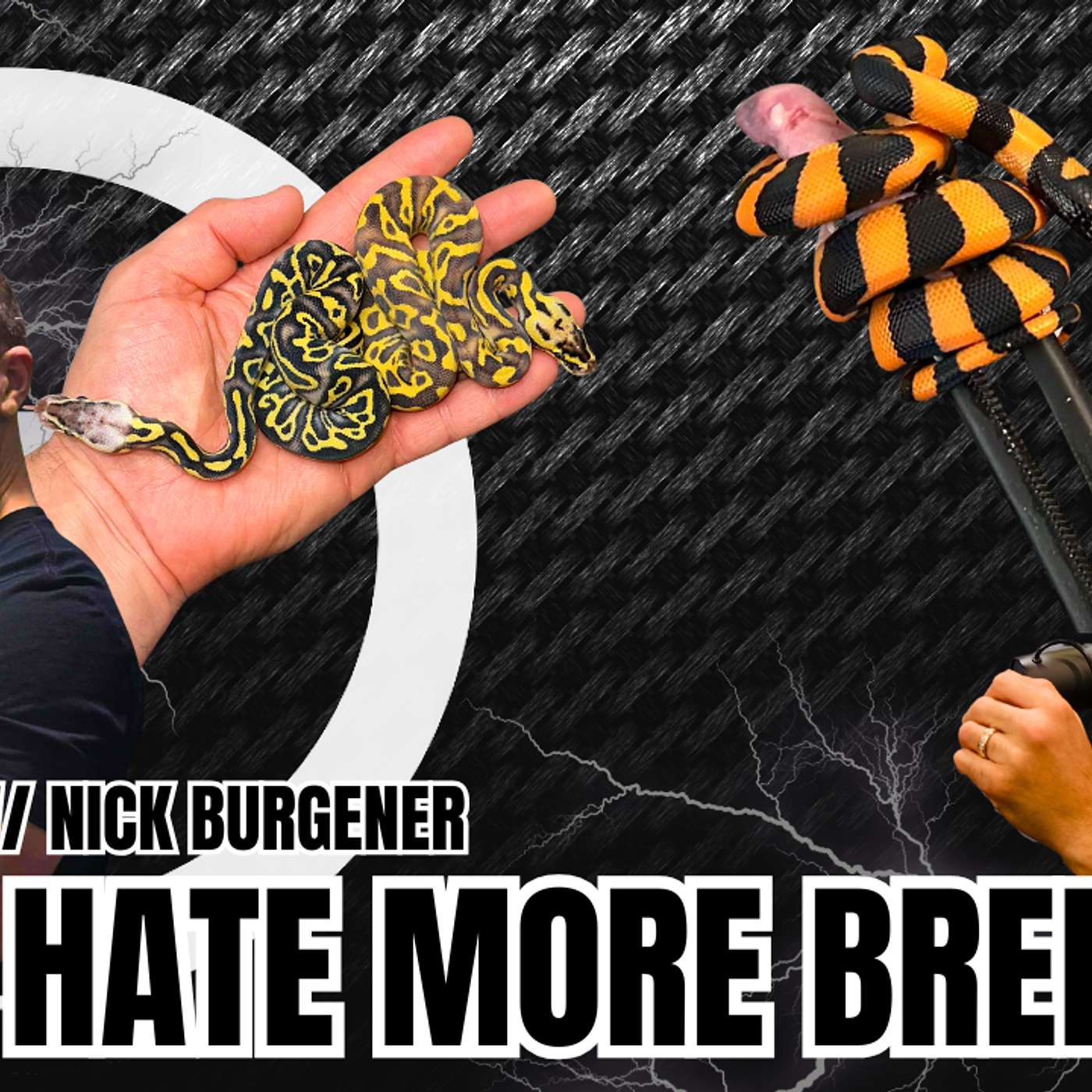 Who's Really Hating On MorphMarket & Is It Valid? | Trap Talk Live