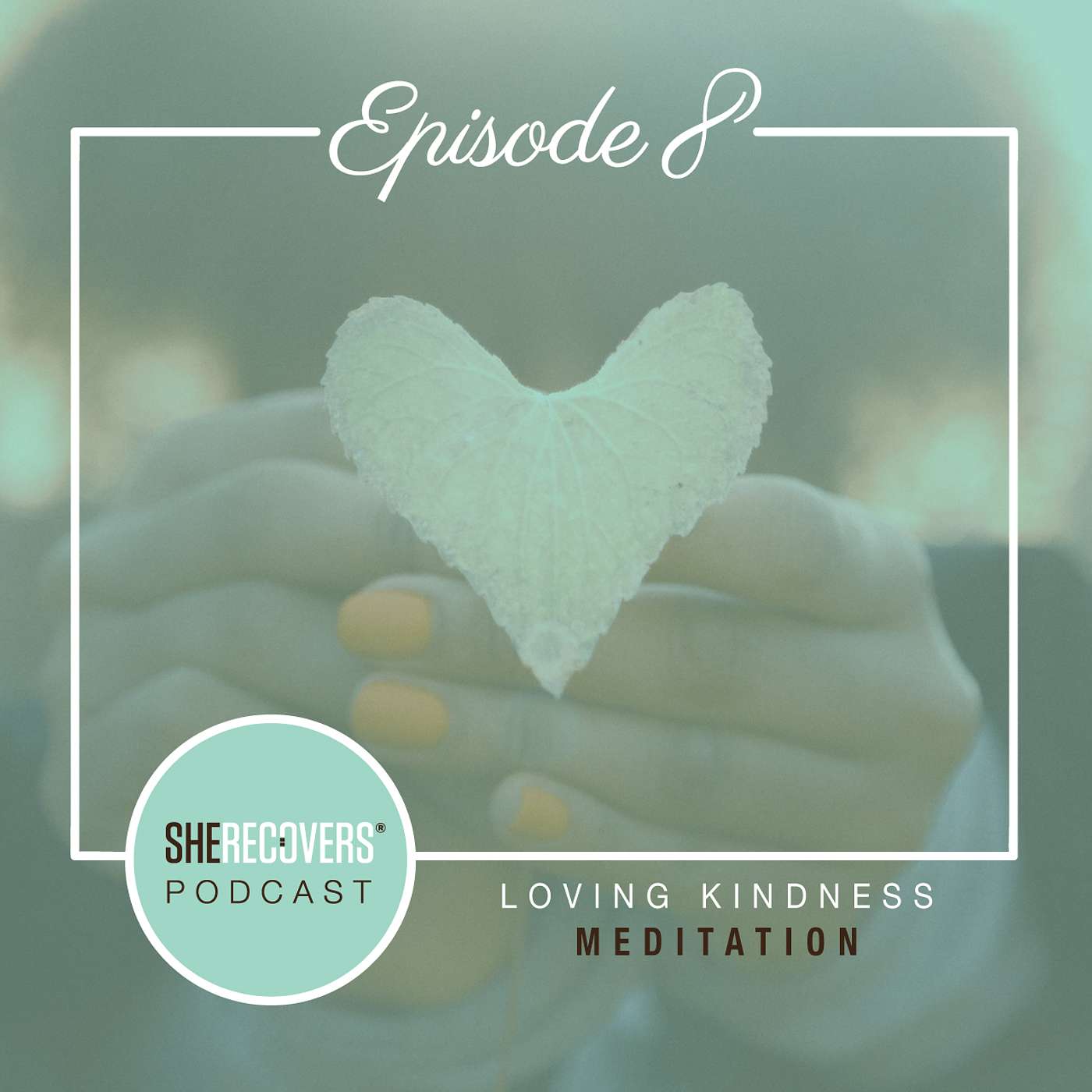Episode 8: Loving Kindness Meditation episode artwork