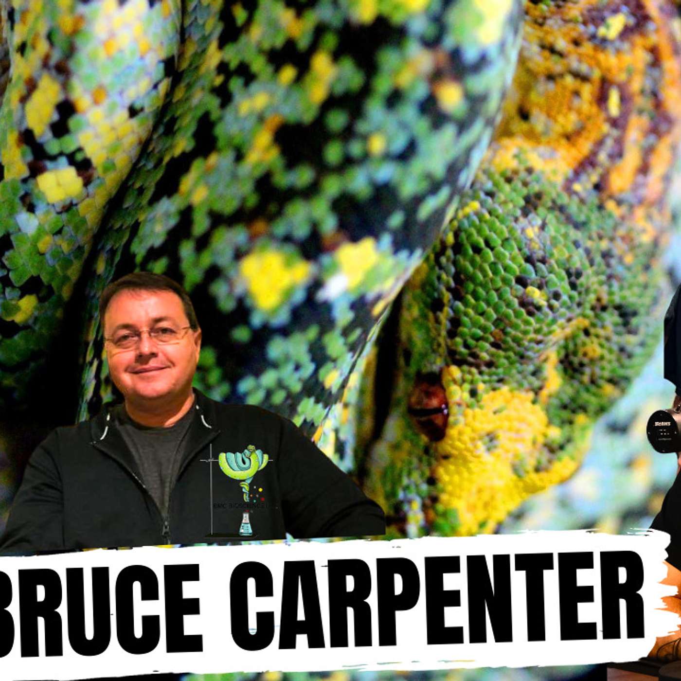 What is Bruce Carpenter's background with Green Tree Pythons? | All In The Tree Tuesday's