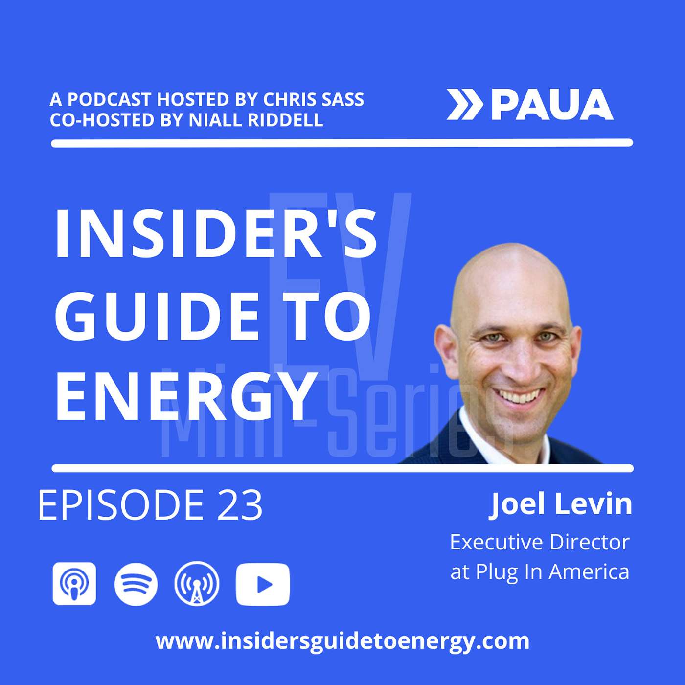 Insider\'s Guide to Energy EV