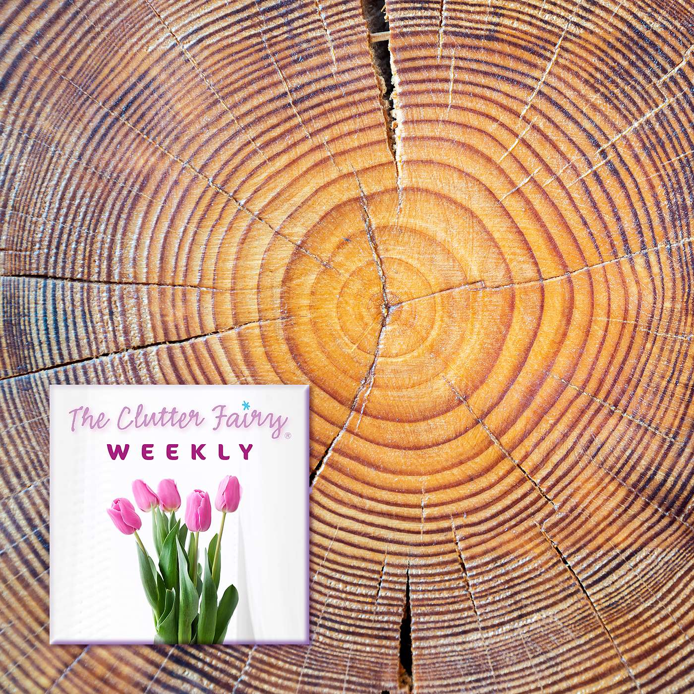 Not Getting Any Younger: Age as a Factor in Clutter (continued) - The Clutter Fairy Weekly #268