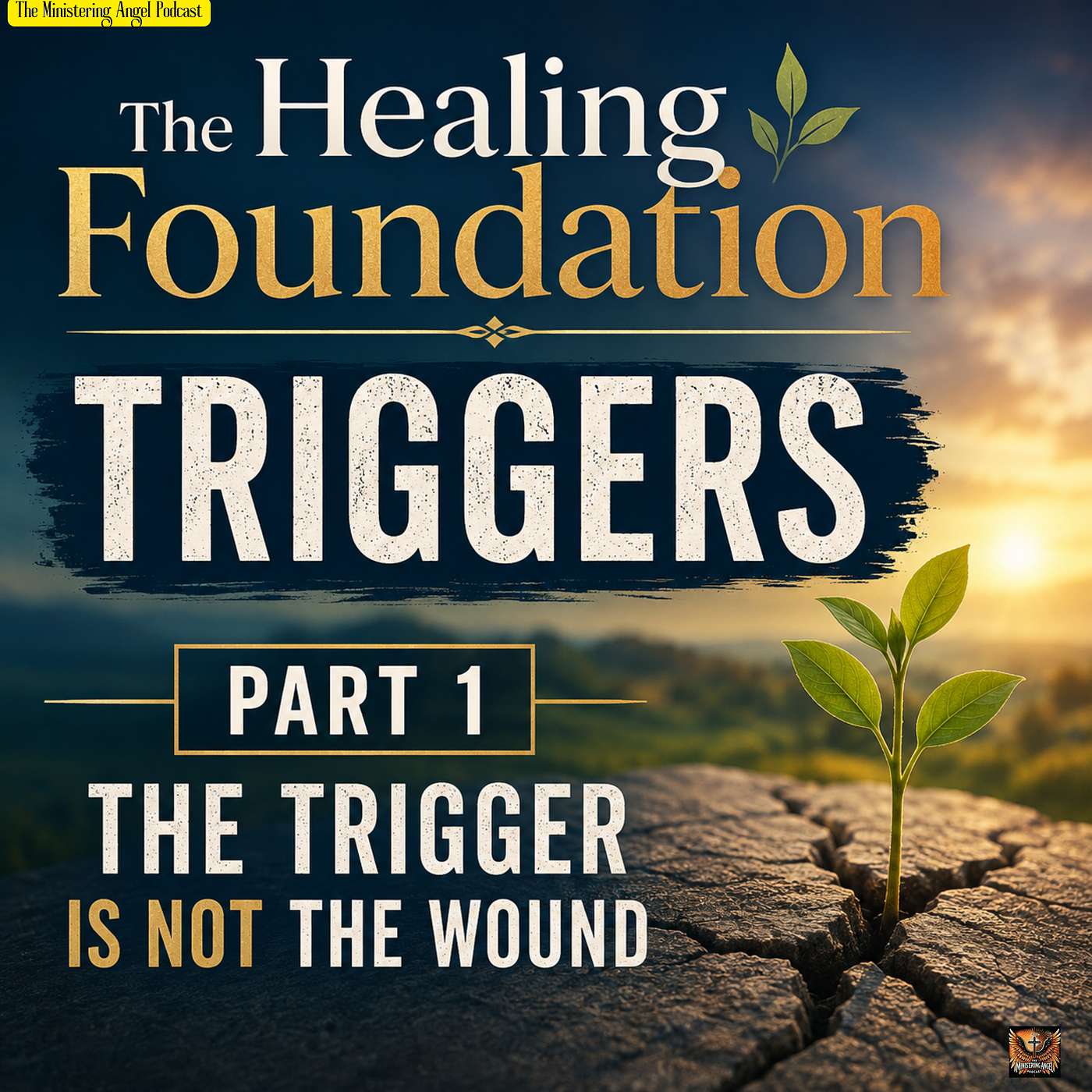 The Healing Foundation: Triggers Part 1: The Trigger Is Not the Wound episode artwork