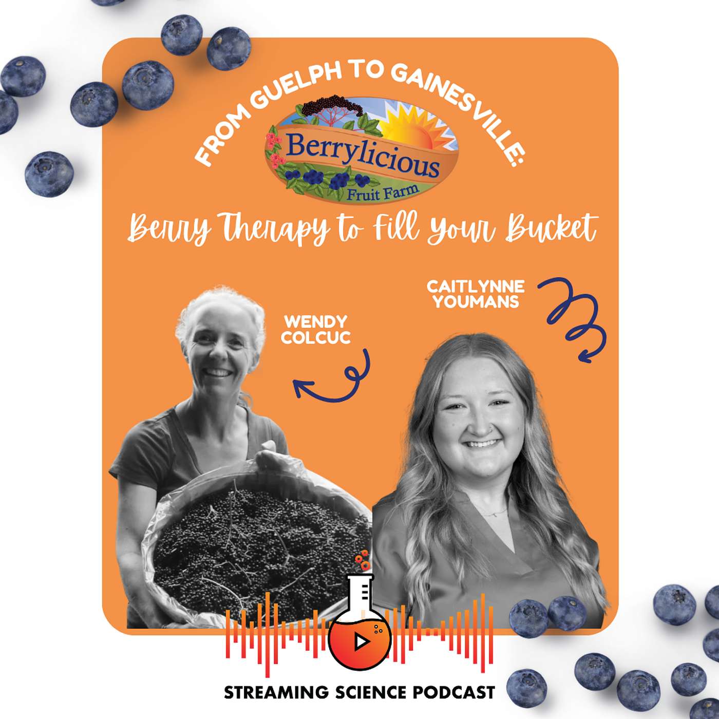 Sustainable Solutions: Berry Therapy to Fill Your Bucket with Wendy Colcuc episode artwork