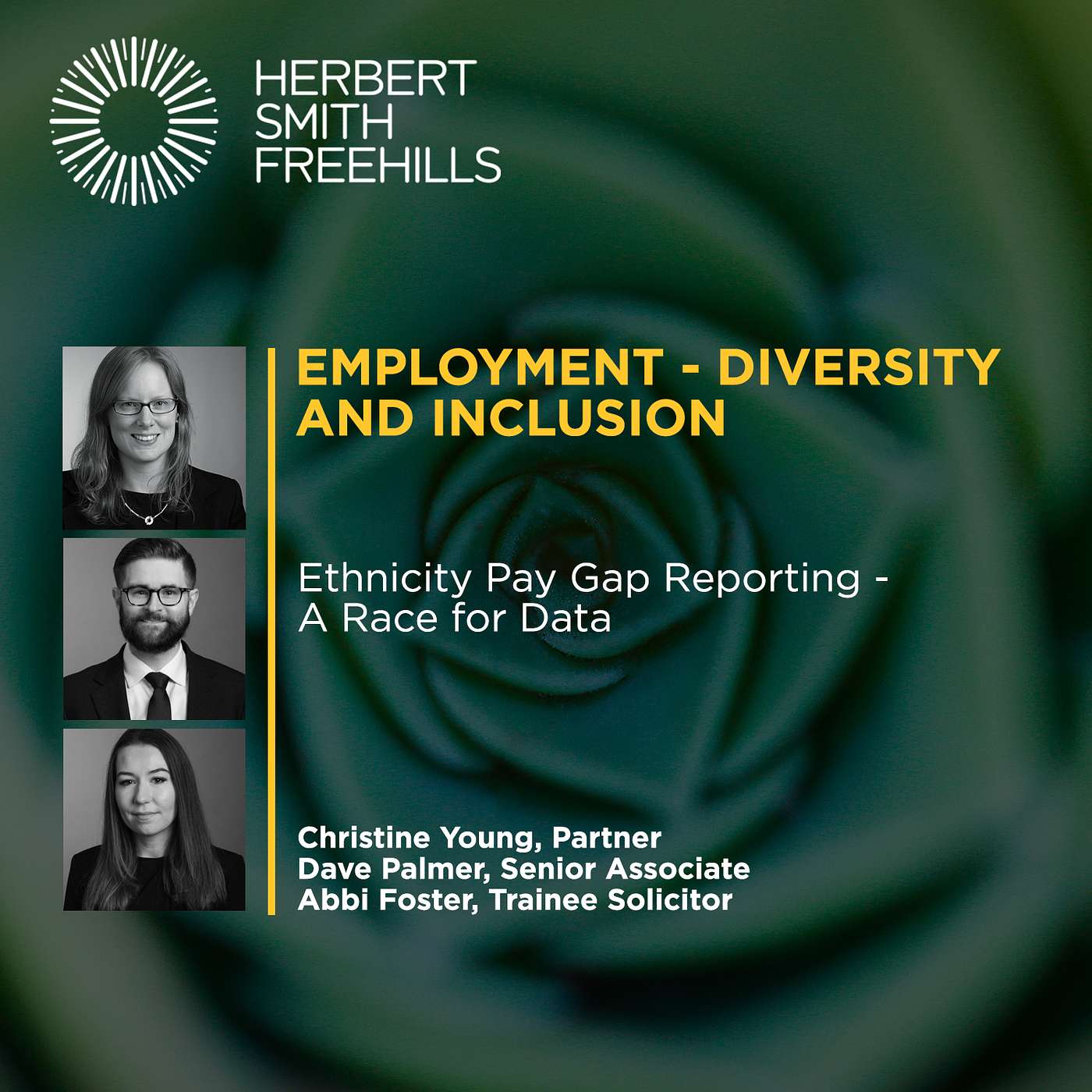 Diversity and Inclusion Ep 1: Ethnicity Pay Gap Reporting – A Race for Data episode artwork