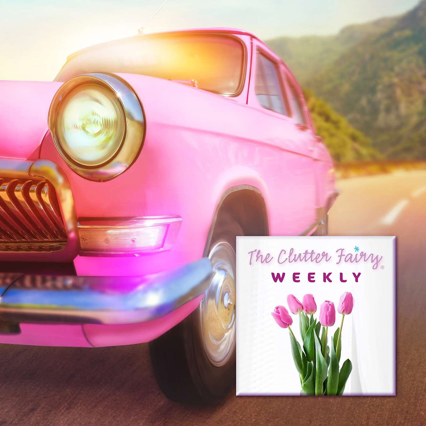 The Clutter Fairy Weekly