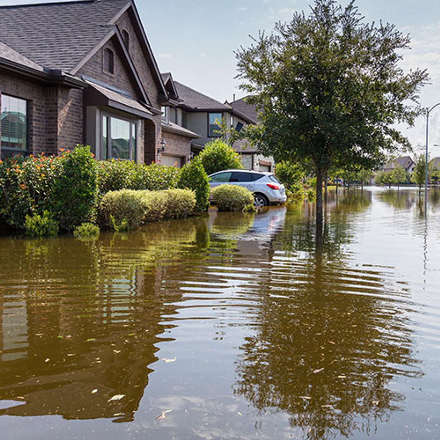 Climate Risks Episode 03: Flood risks – Ralph de Mesquita episode artwork