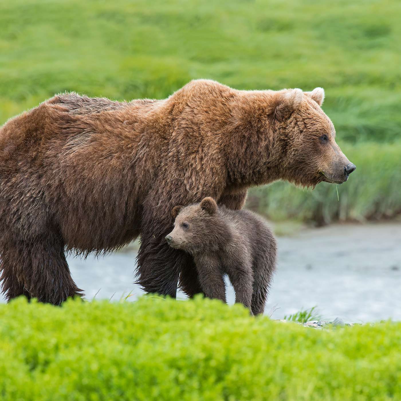 RANDOM WAYPOINTS PODCAST