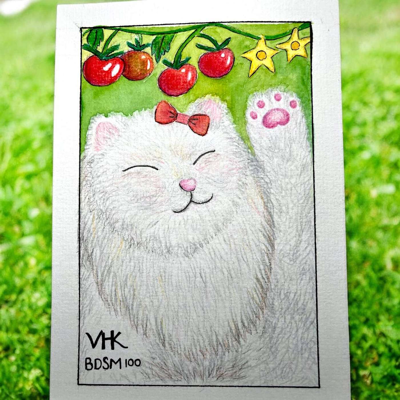 【100種BDSM】尋找wonderland的貓