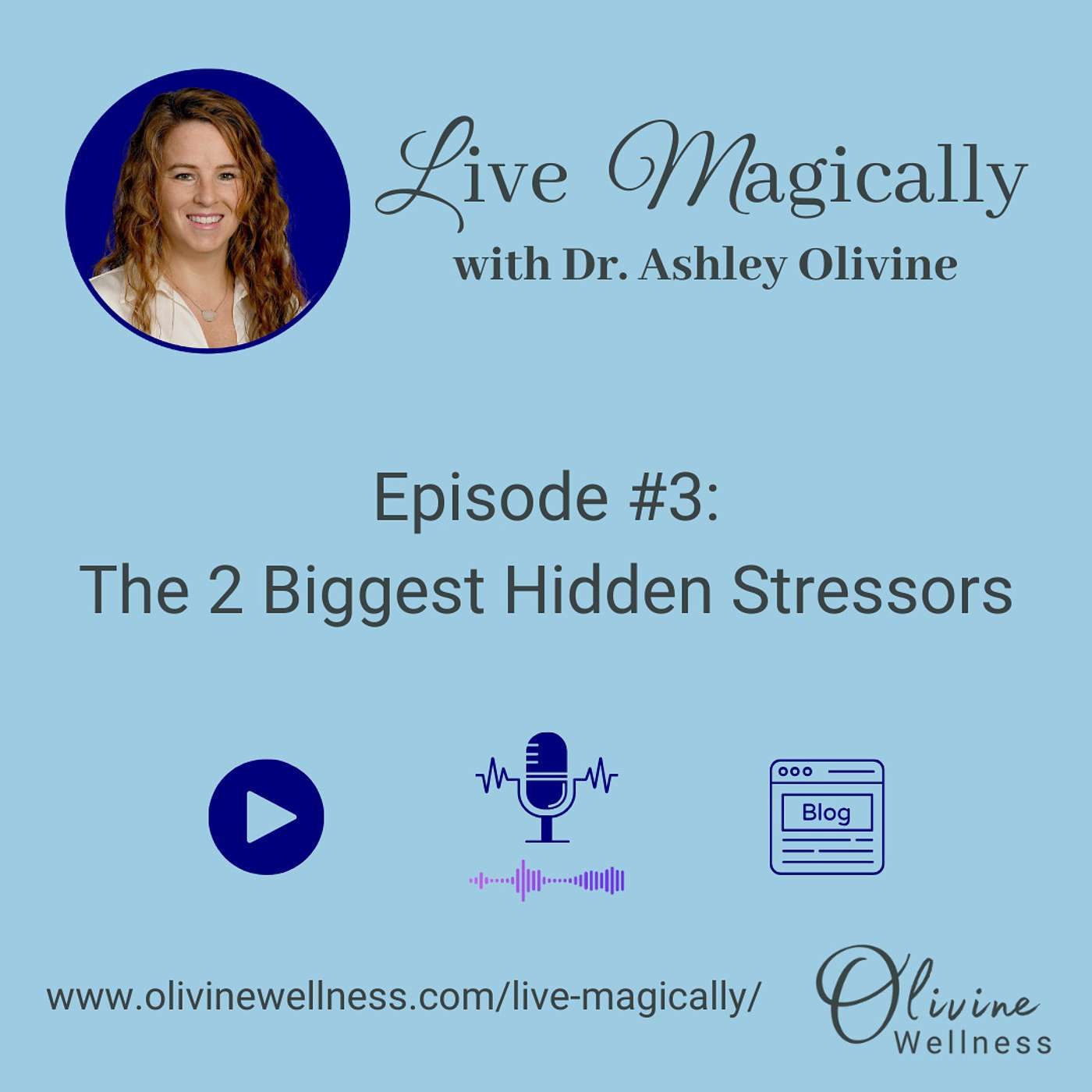 The 2 Biggest Hidden Stressors episode artwork