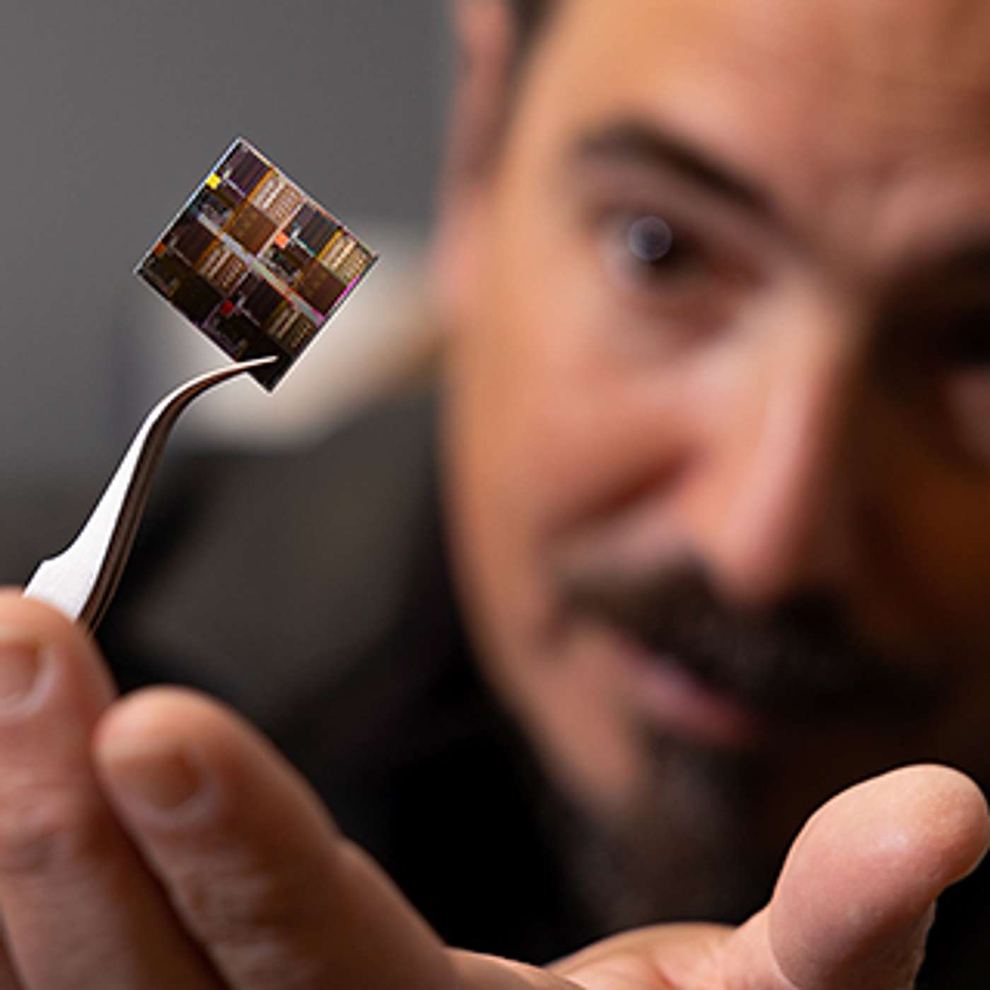 Itai Cohen on building microrobots, collaborating across disciplines and taming fear