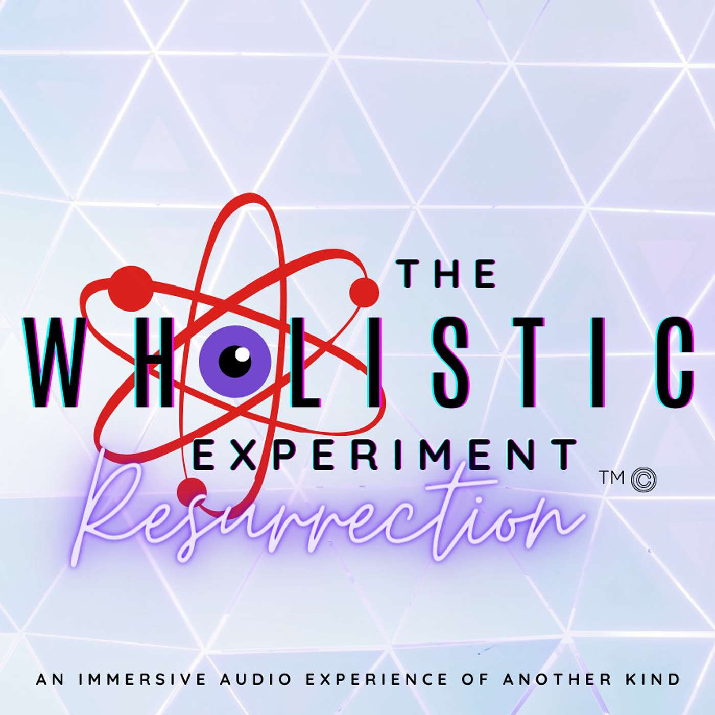 The Wholistic Experiment cover