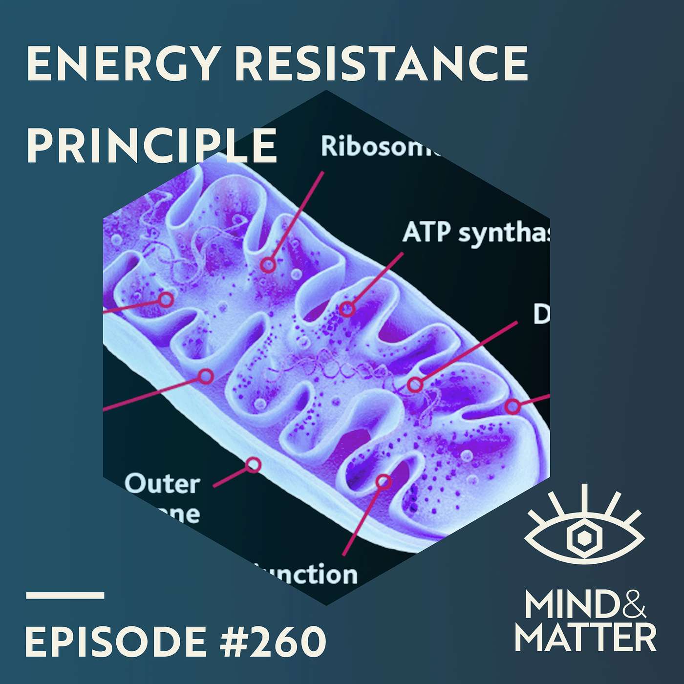 Energy Resistance Principle in Life, Healing & Disease | Martin Picard & Nirosha Murugan | 260 Energy Resistance Principle in Life, Healing & Disease | Martin Picard & Nirosha Murugan | 260