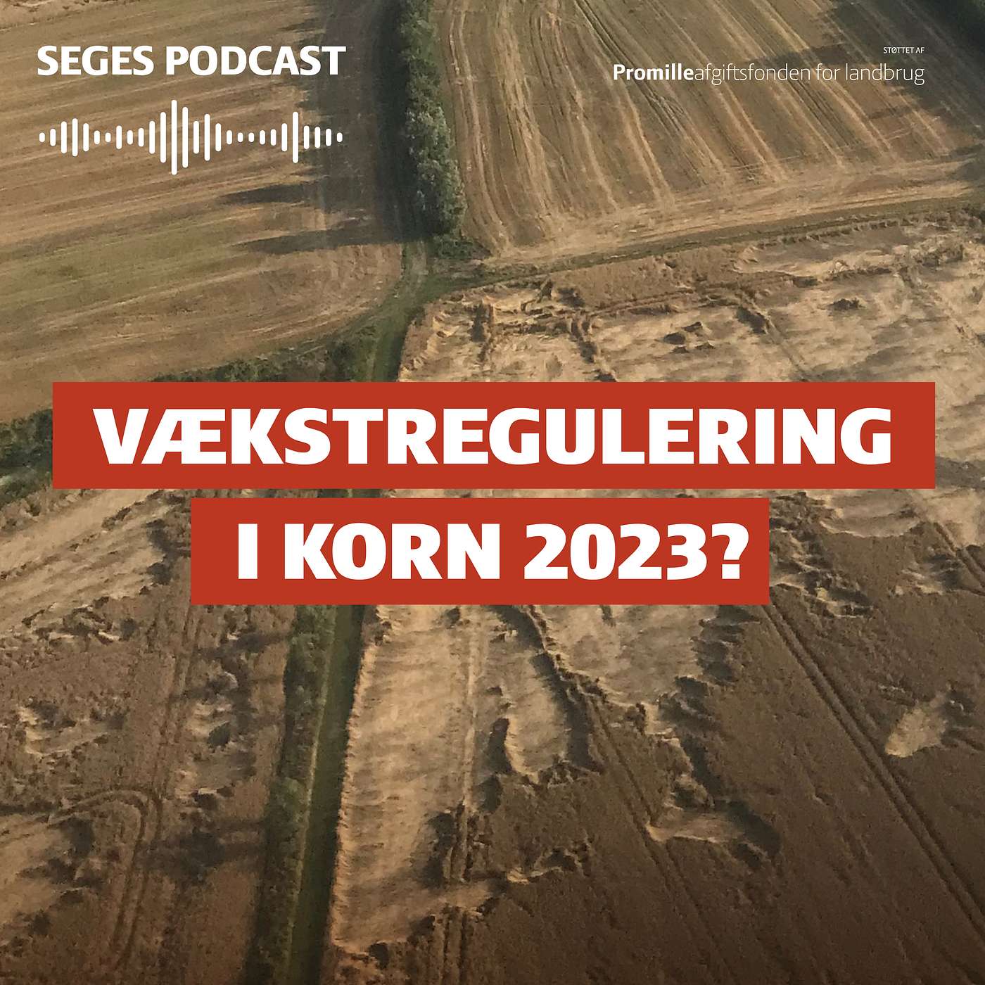 Din Mark Lige Nu: Skal du vækstregulere korn i år? Din Mark Lige Nu: Skal du vækstregulere korn i år?