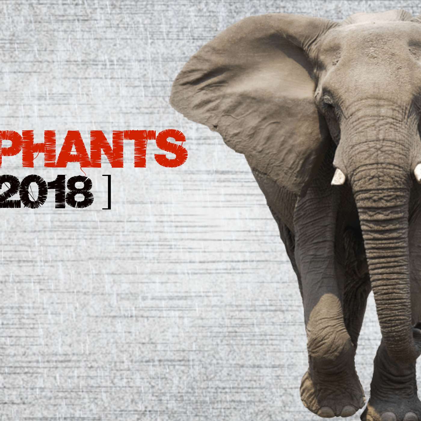 Elephants 2018 pt 1: Cohabitation: Is living together before marriage a big deal to God?