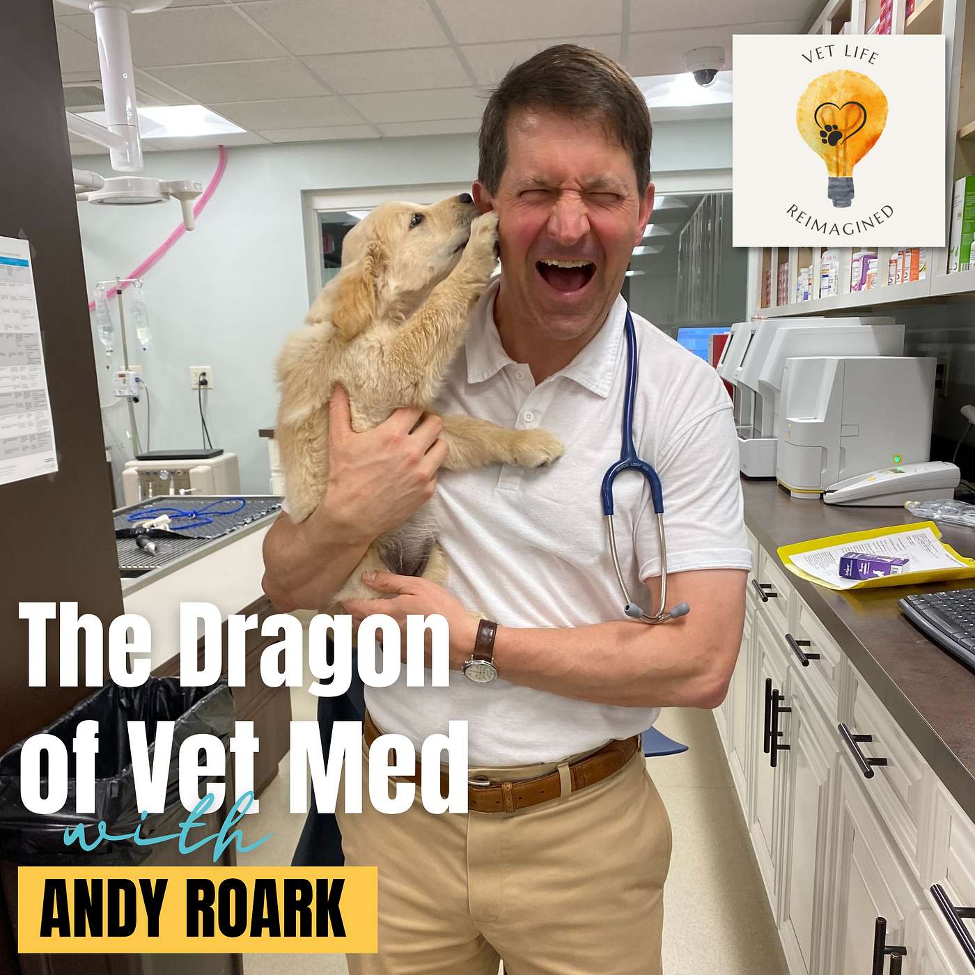 Vet Life Reimagined